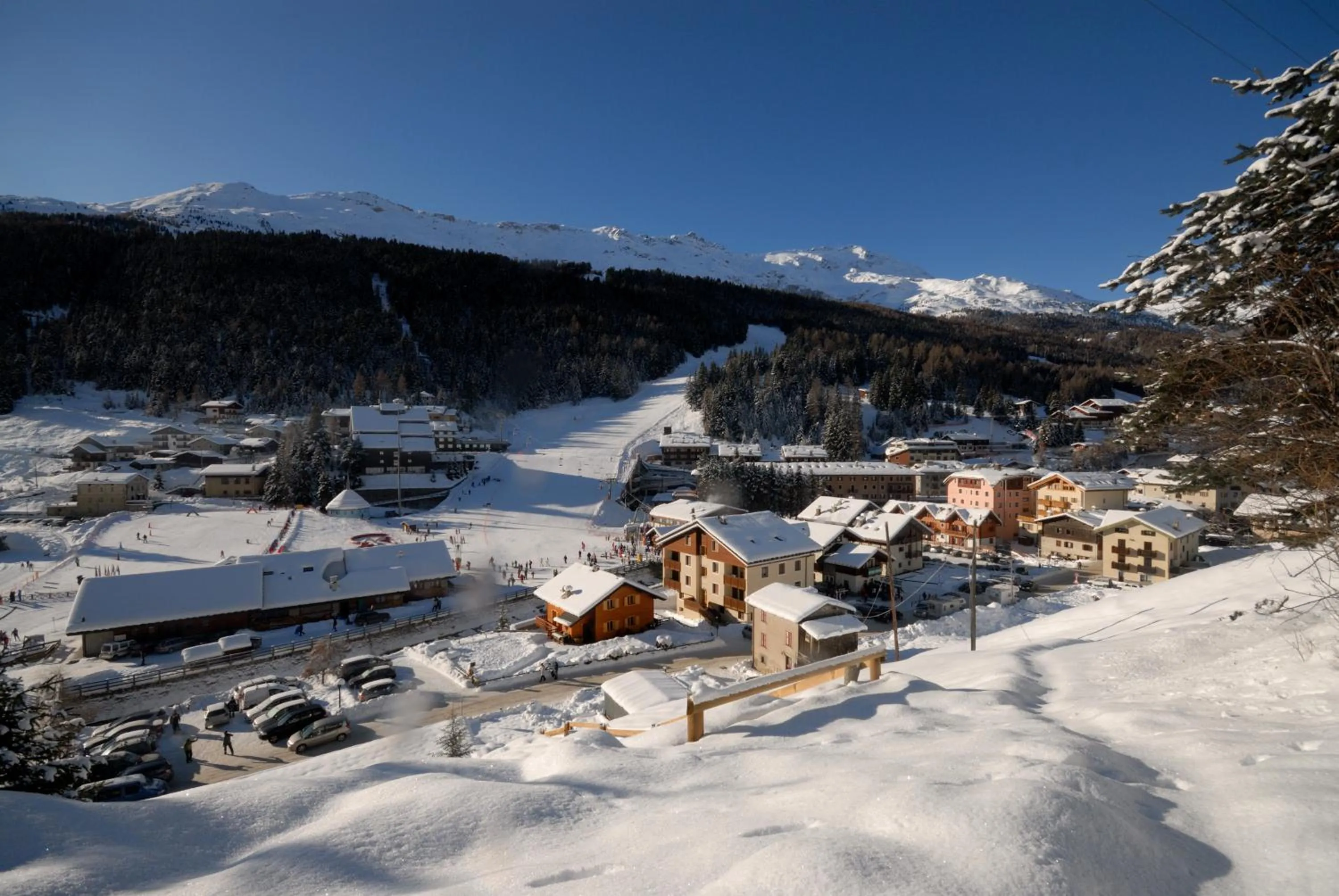 Natural landscape in Hotel Pedranzini