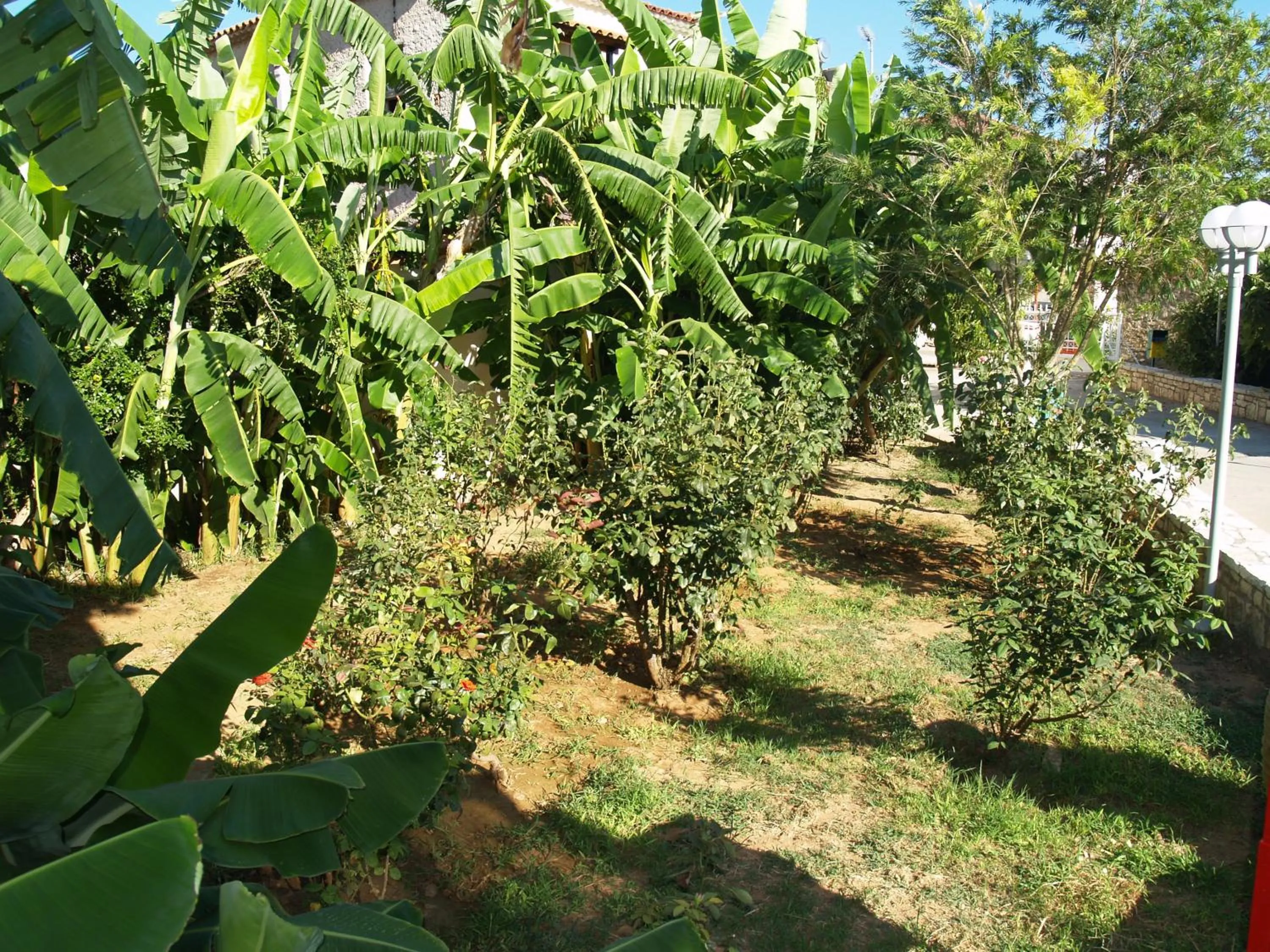 Garden in Akroyali Hotel & Villas