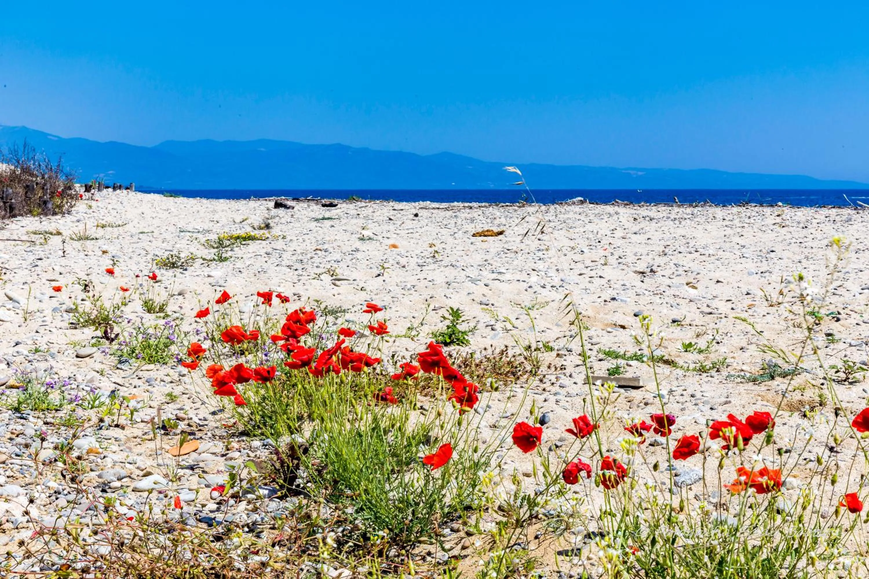 Natural landscape in Hotel La Villa
