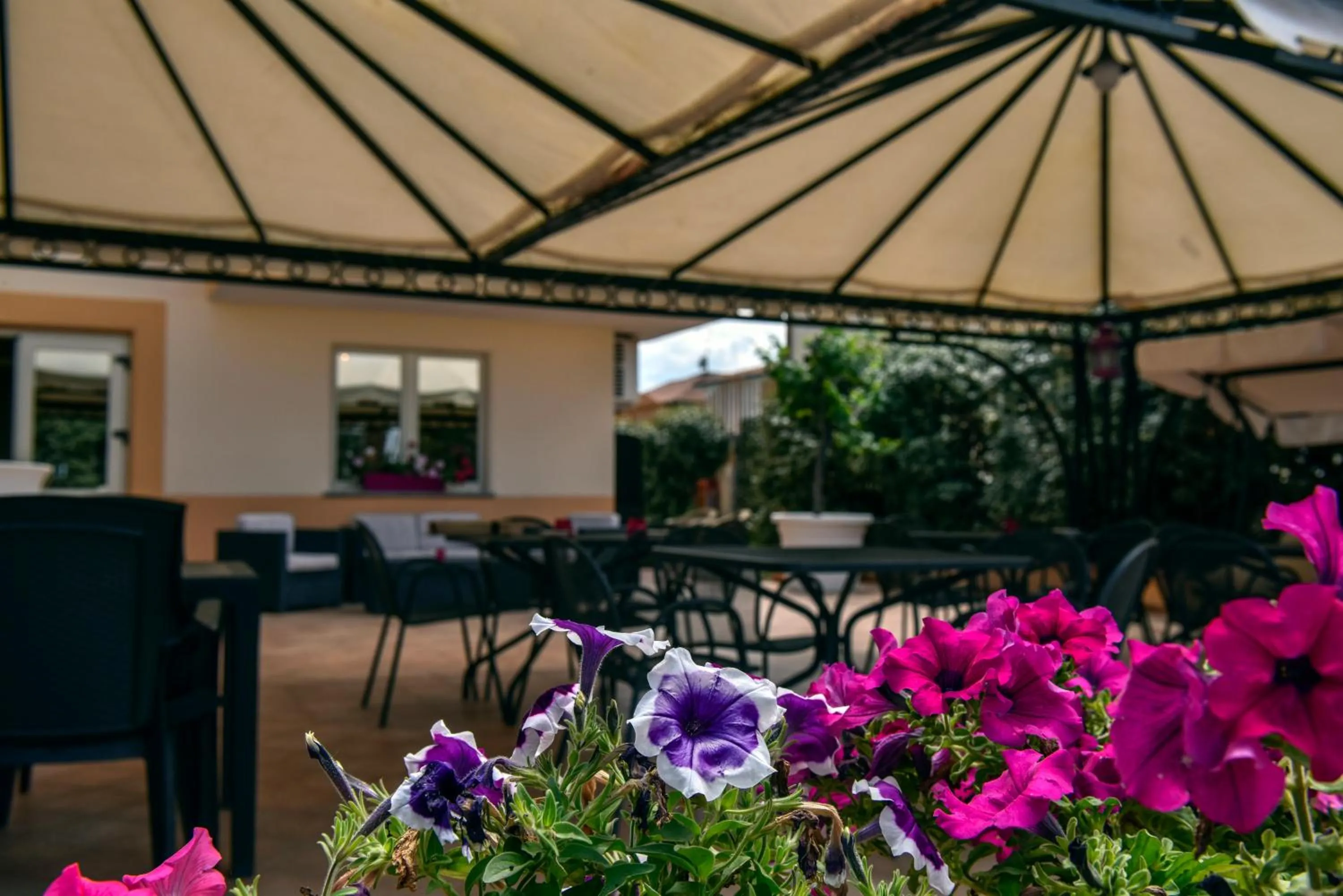 Restaurant/places to eat in Hotel La Villa