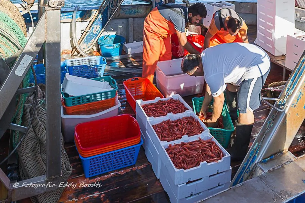 Nearby landmark in Hotel La Villa