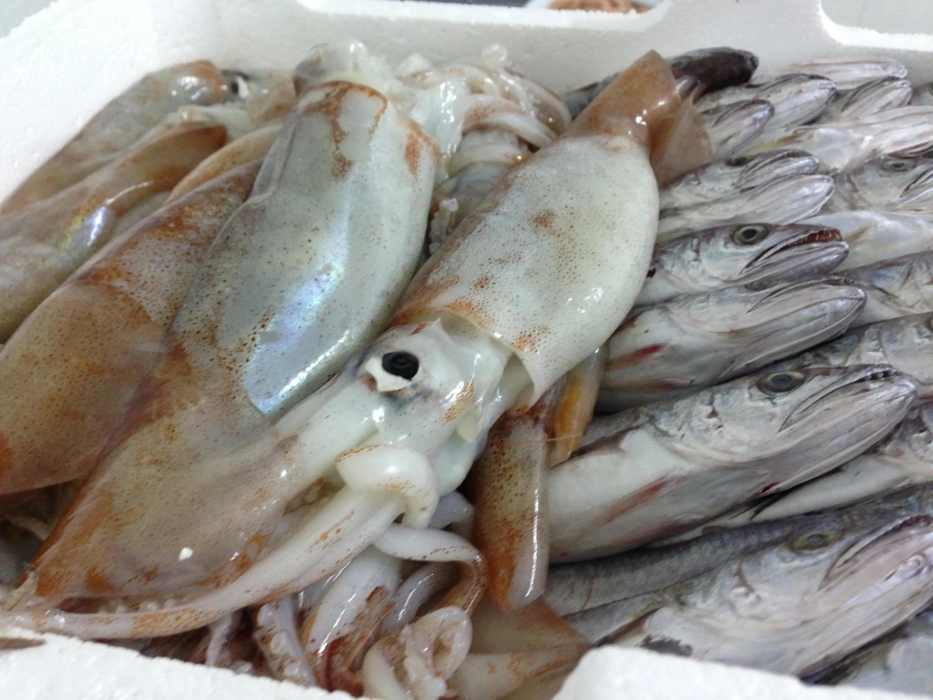 Food close-up in Hotel La Villa