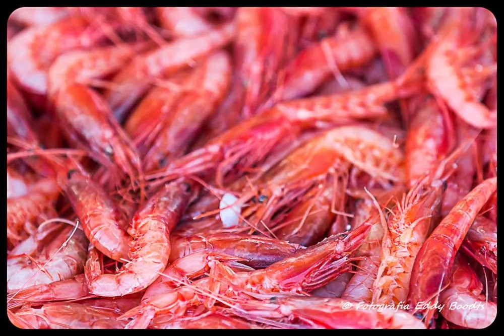 Nearby landmark in Hotel La Villa