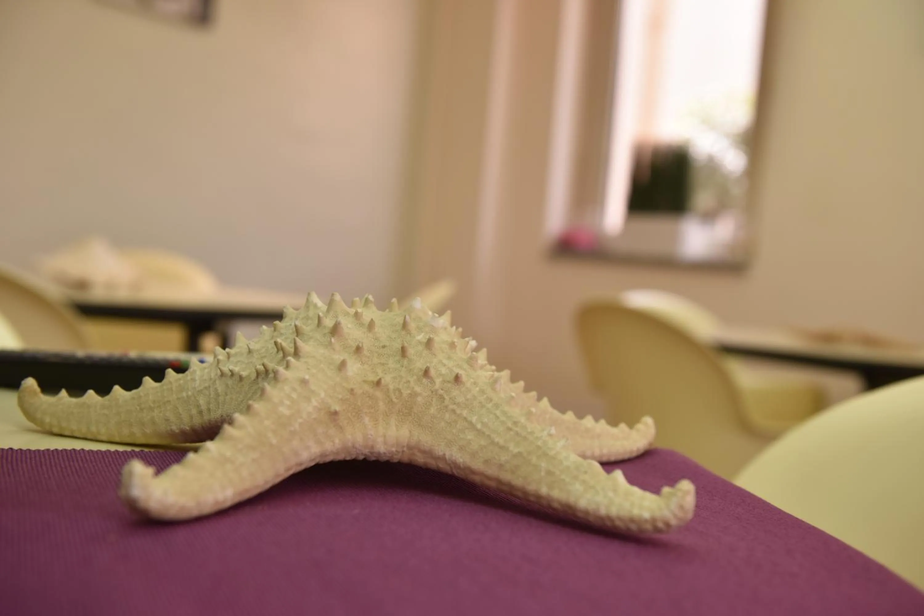 Decorative detail in Hotel La Villa