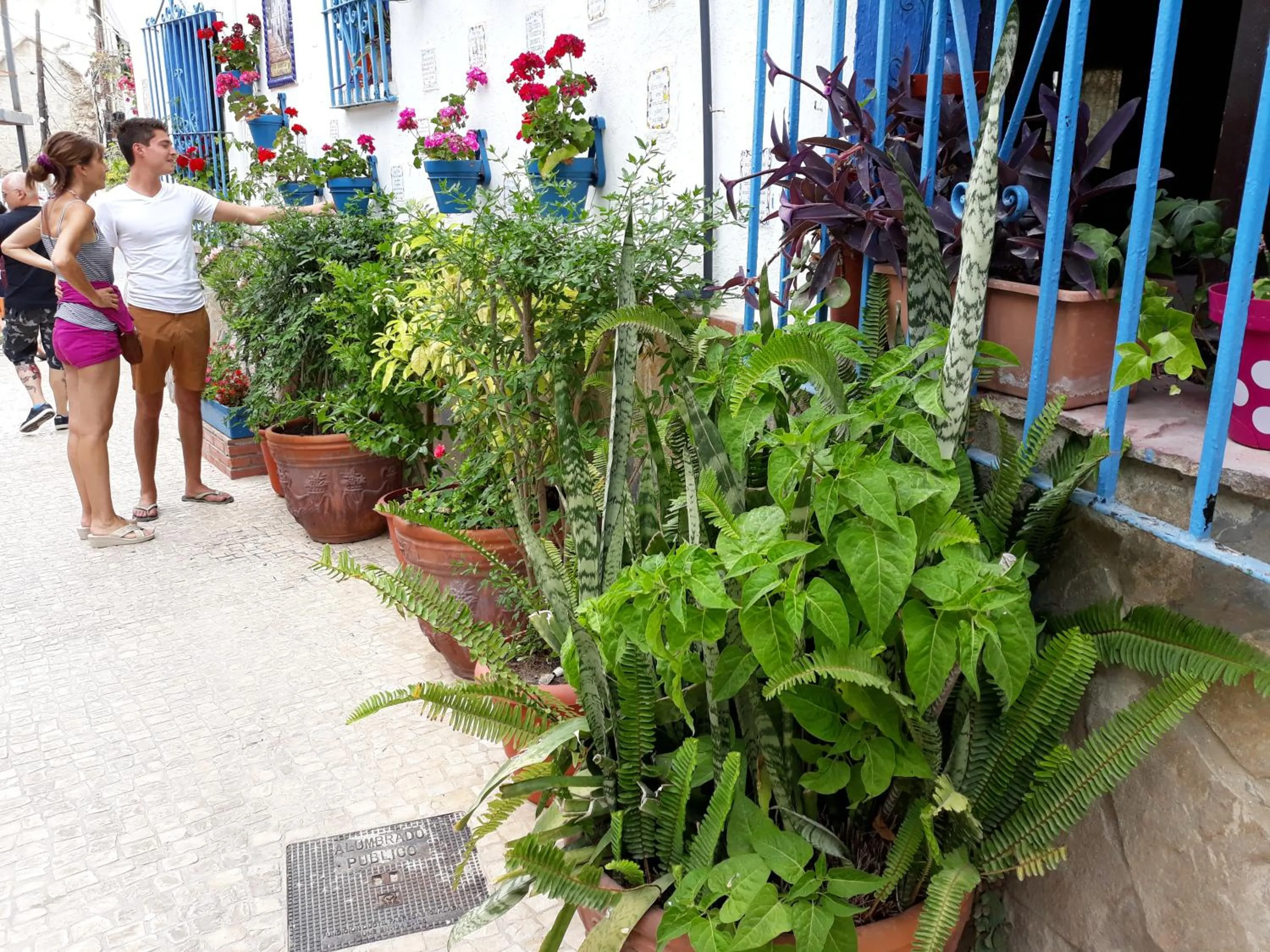 Facade/entrance in Micaela Charming Hostal