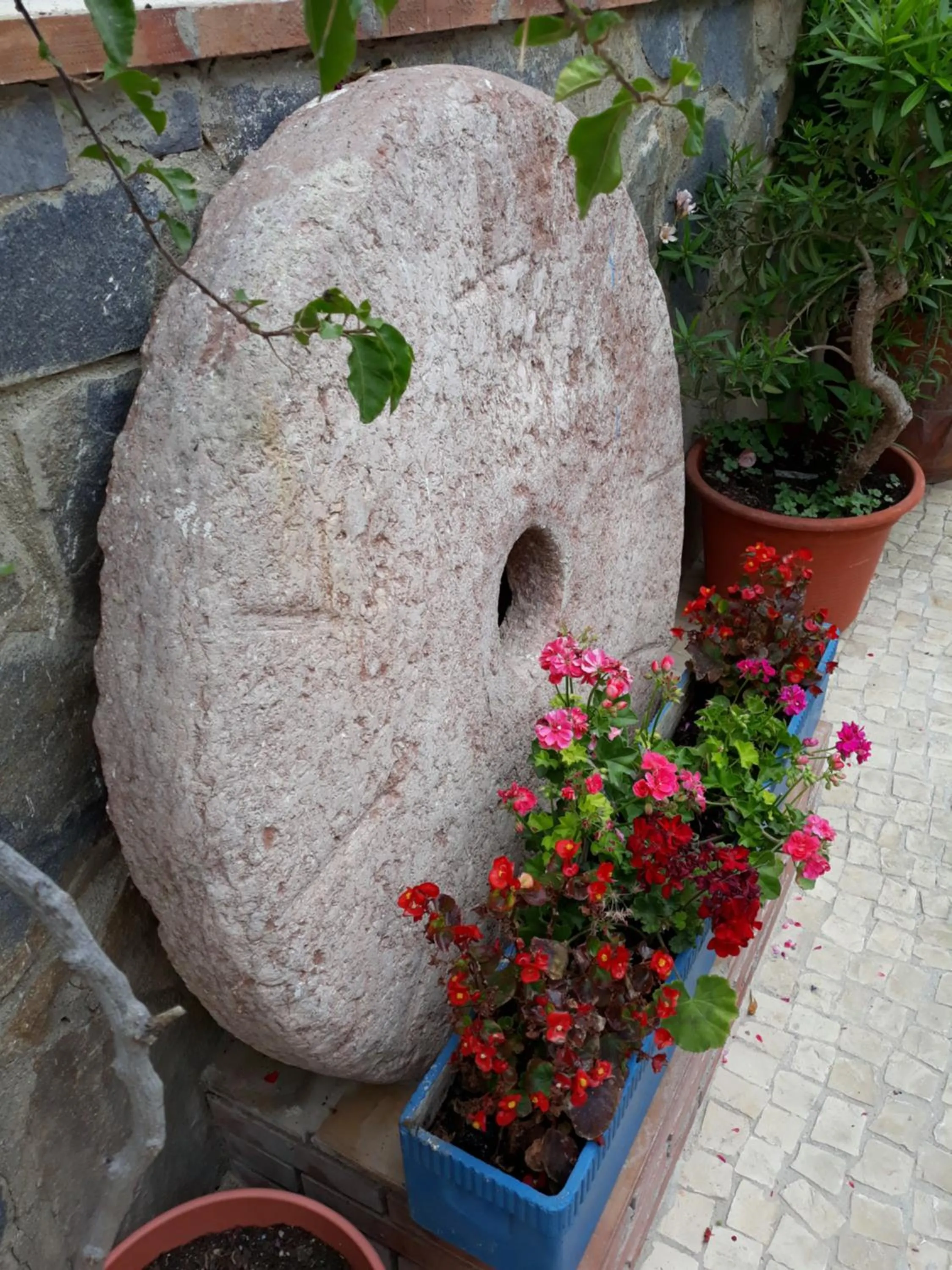 Facade/entrance in Micaela Charming Hostal