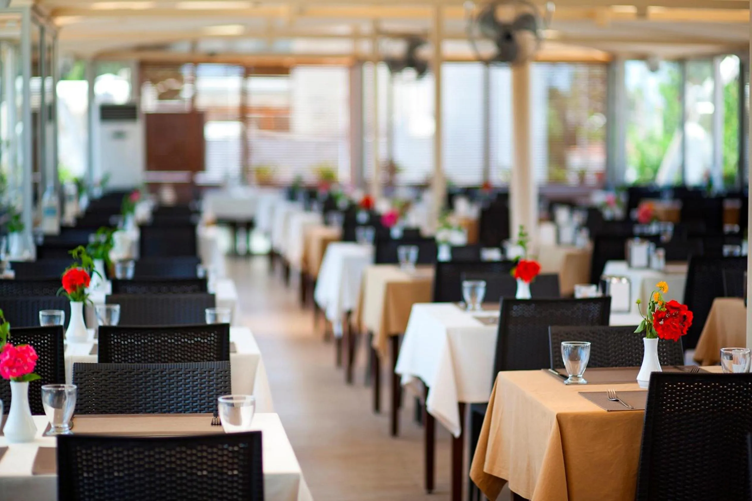 Restaurant/places to eat in Bitez Risa Hotel