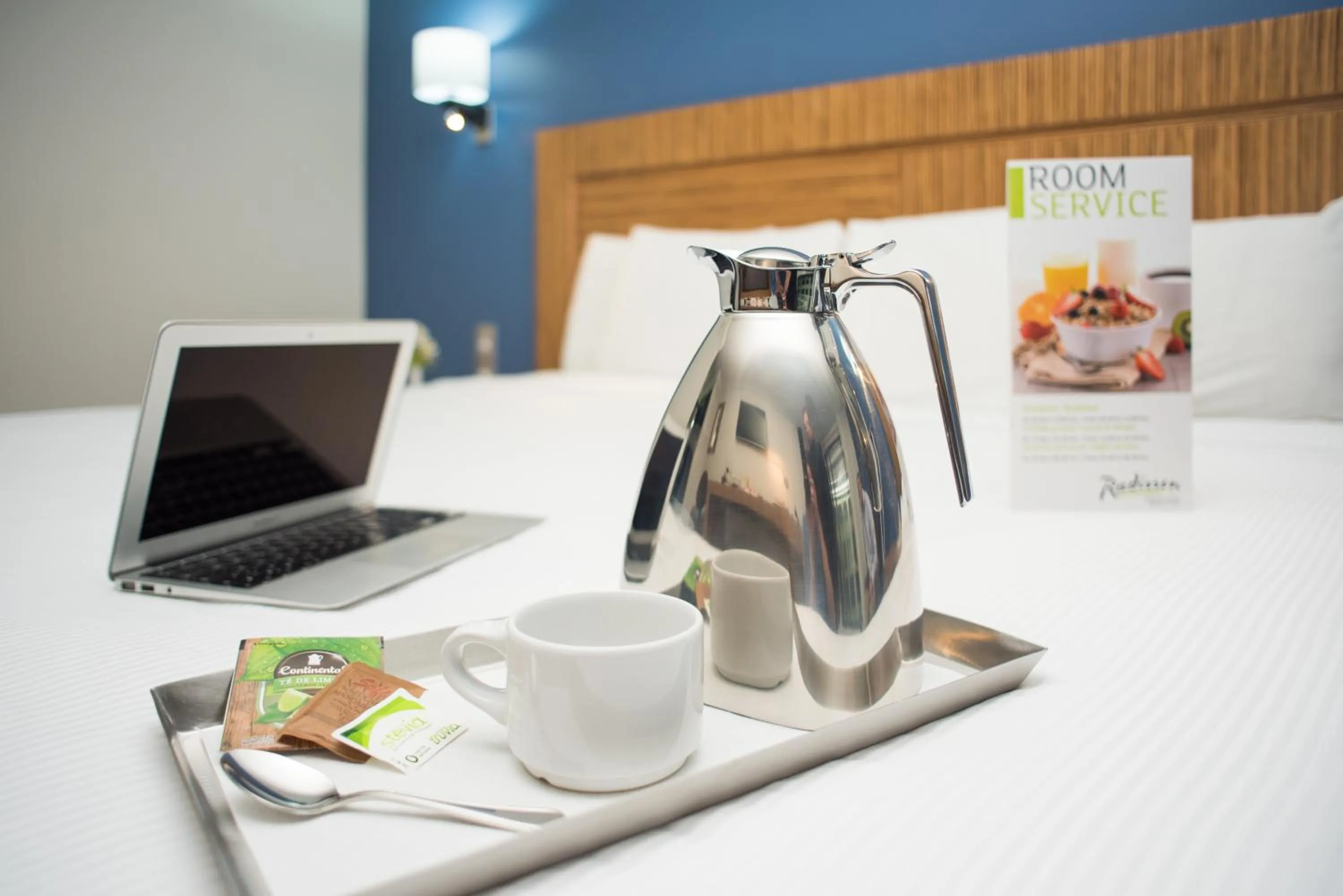 Decorative detail in Radisson Hotel & Convention Center Toluca