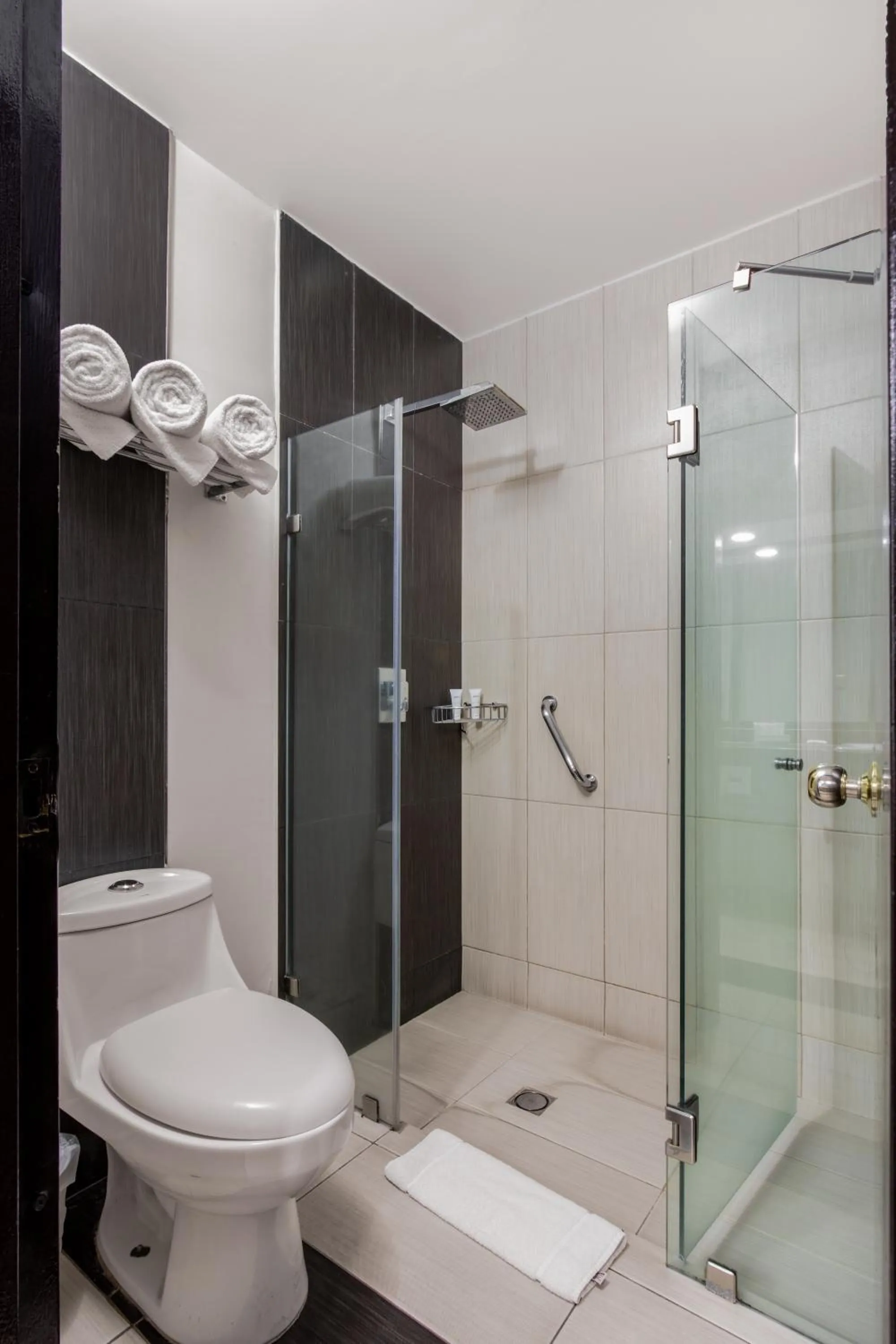 Shower in Radisson Hotel & Convention Center Toluca