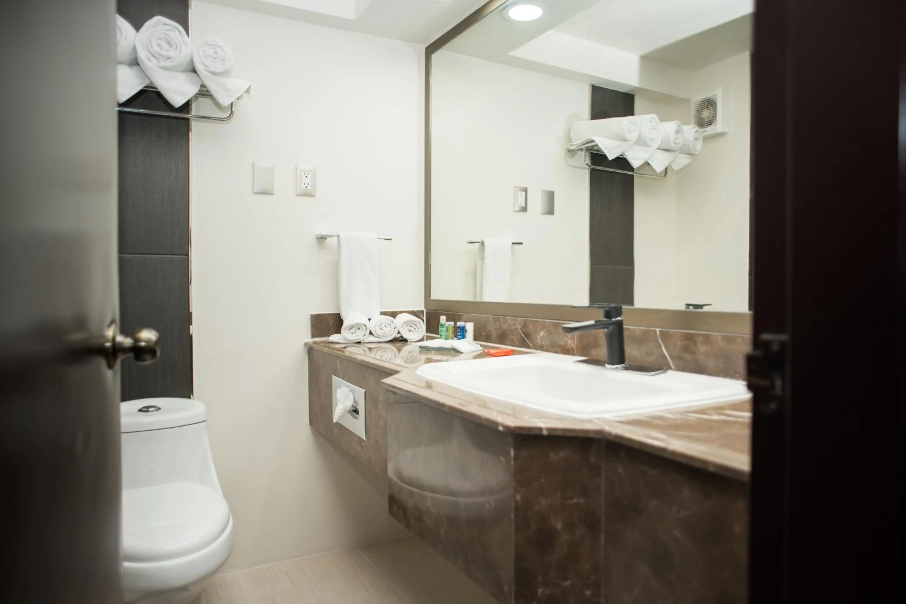 Bathroom in Radisson Hotel & Convention Center Toluca