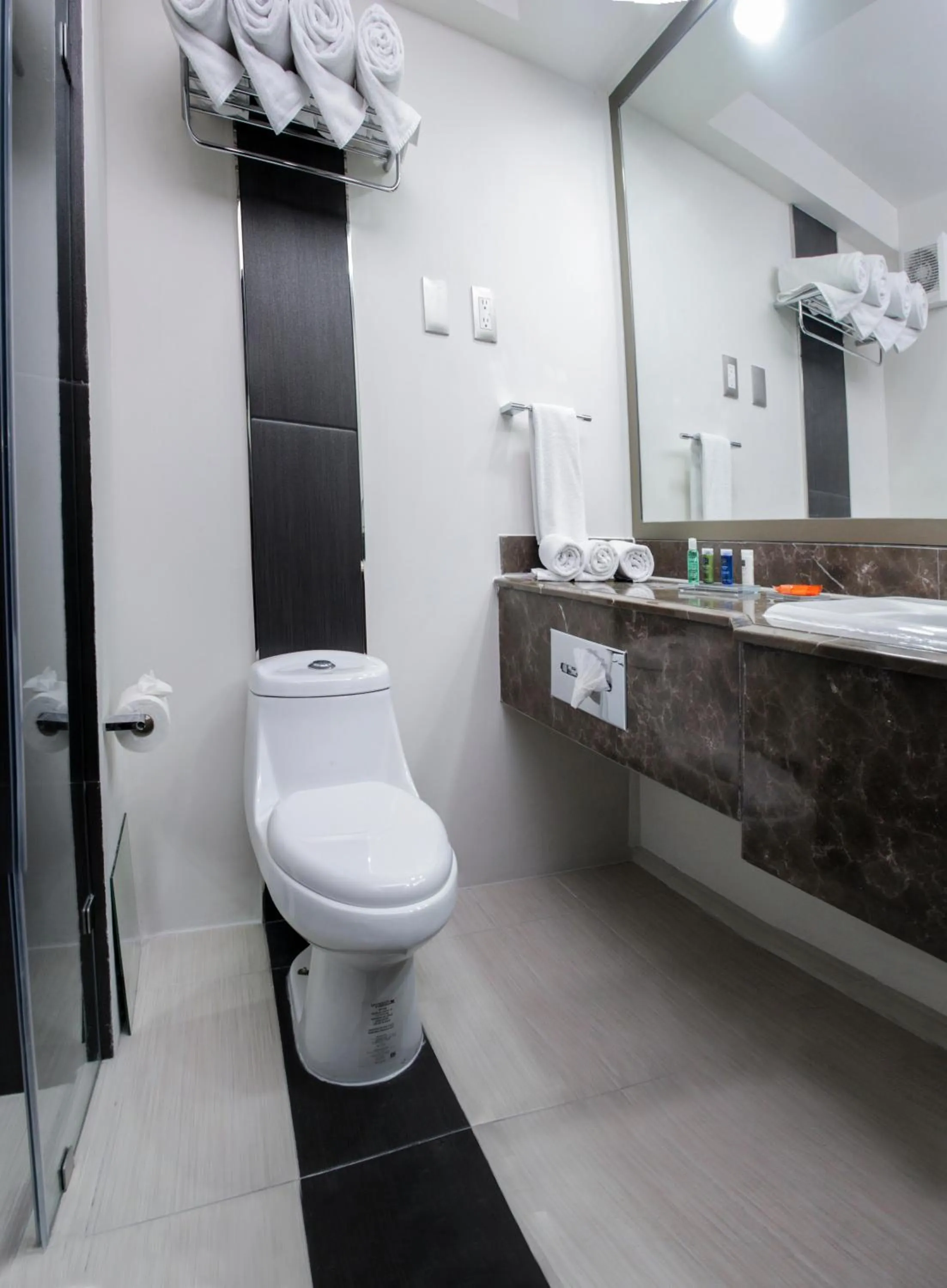 Bathroom in Radisson Hotel & Convention Center Toluca