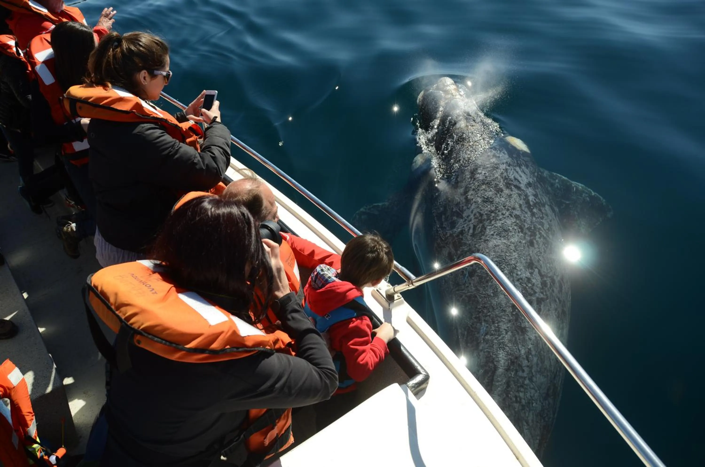 People in La Tosca Hostel