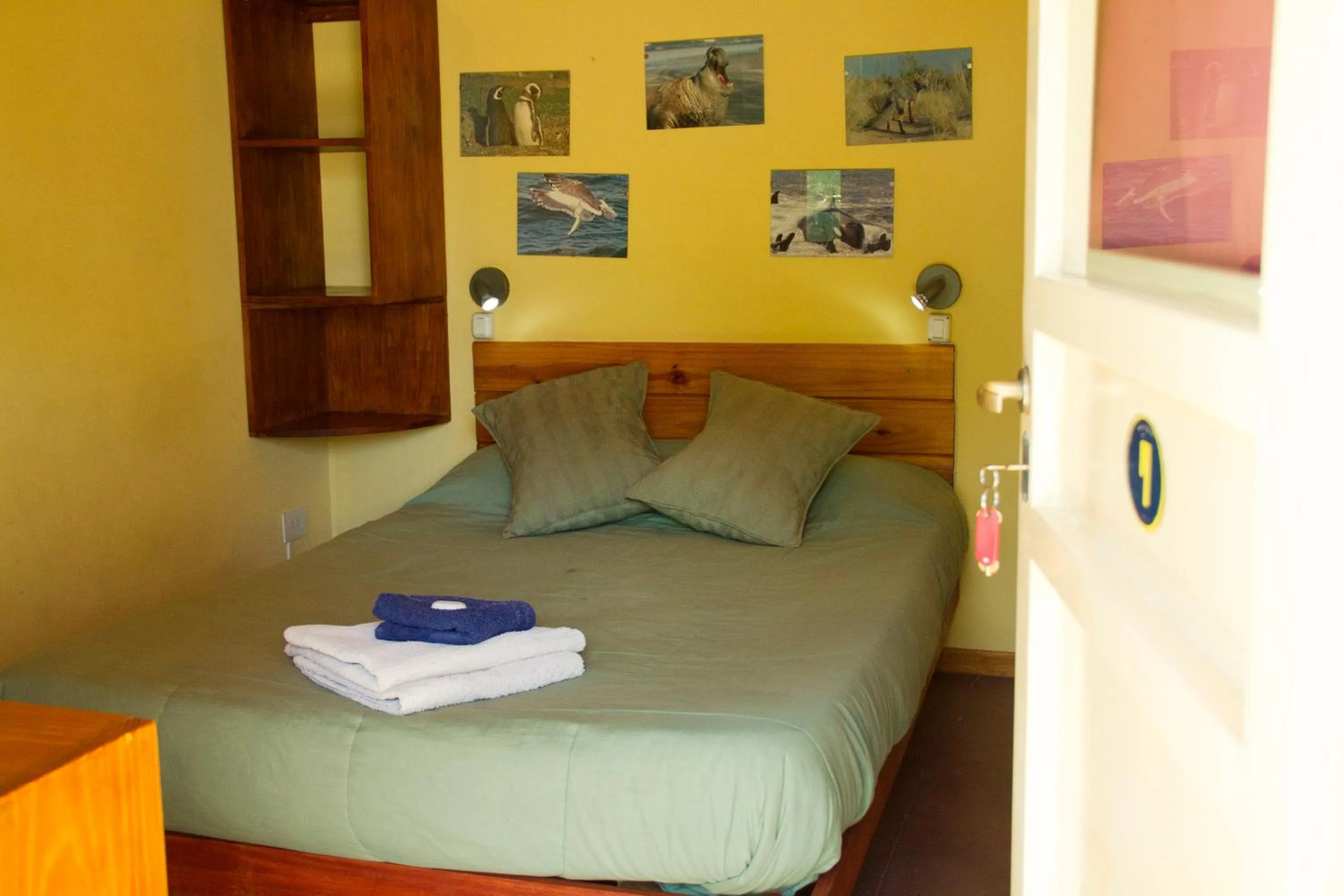 Bed in La Tosca Hostel