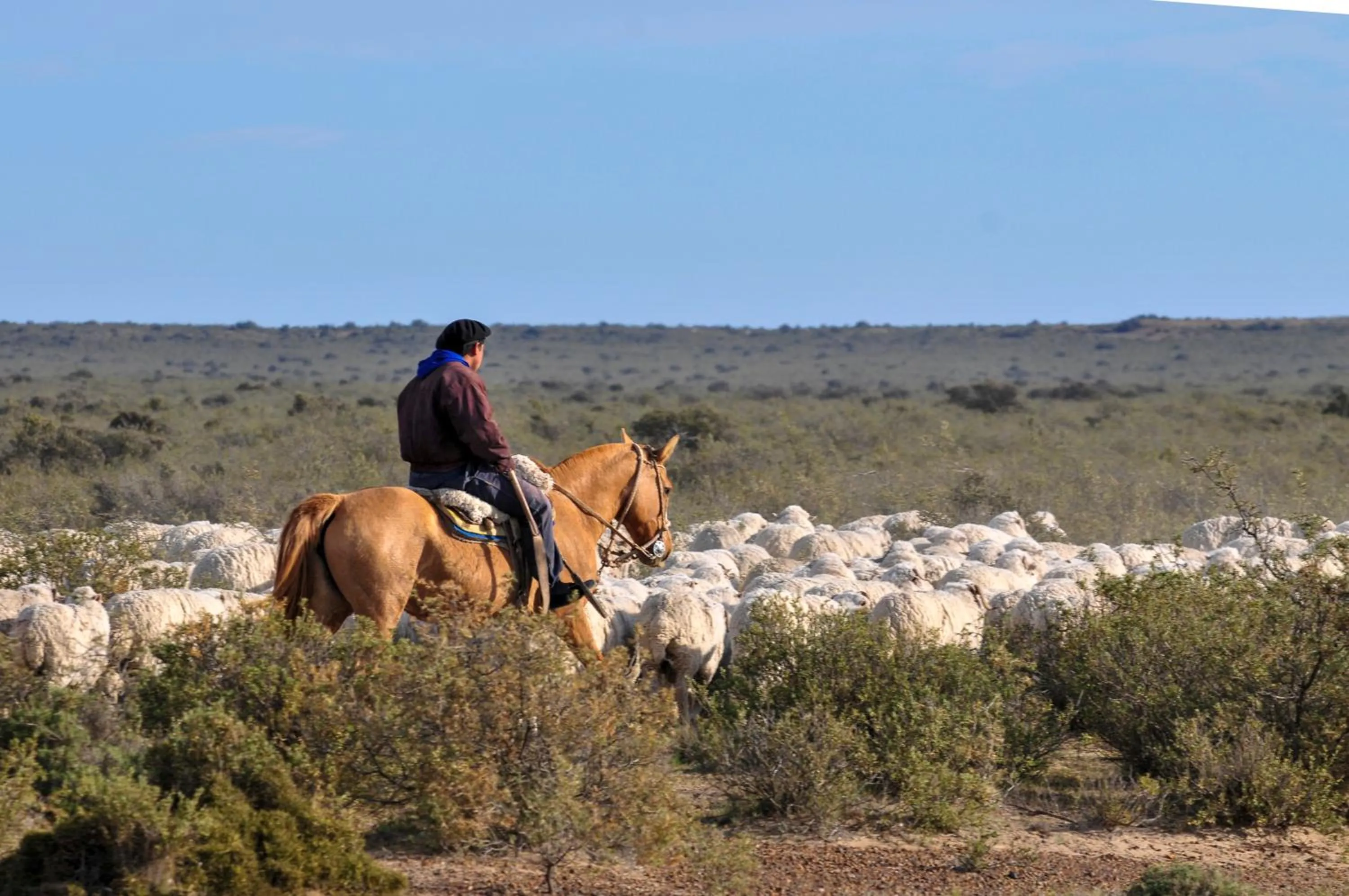 People in La Tosca Hostel
