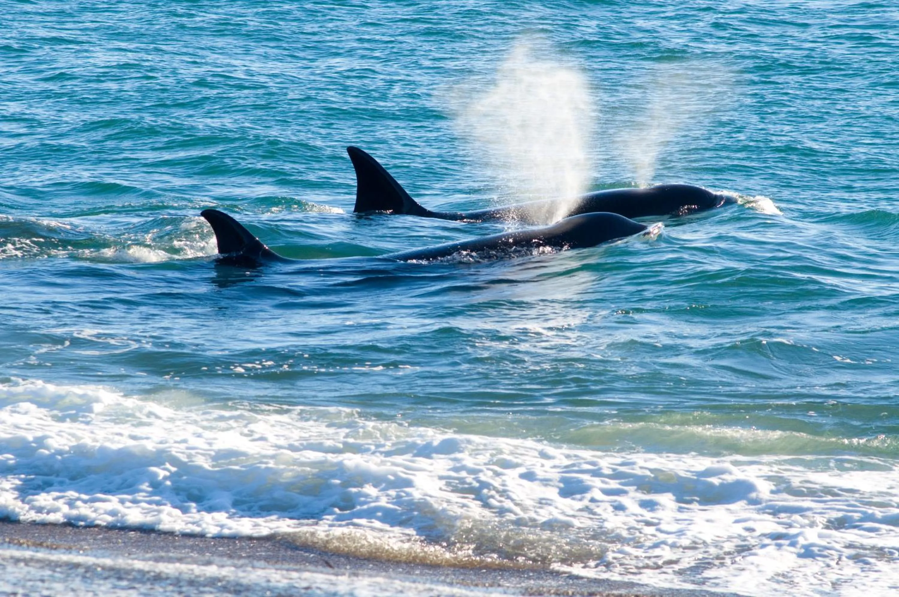 Activities in La Tosca Hostel