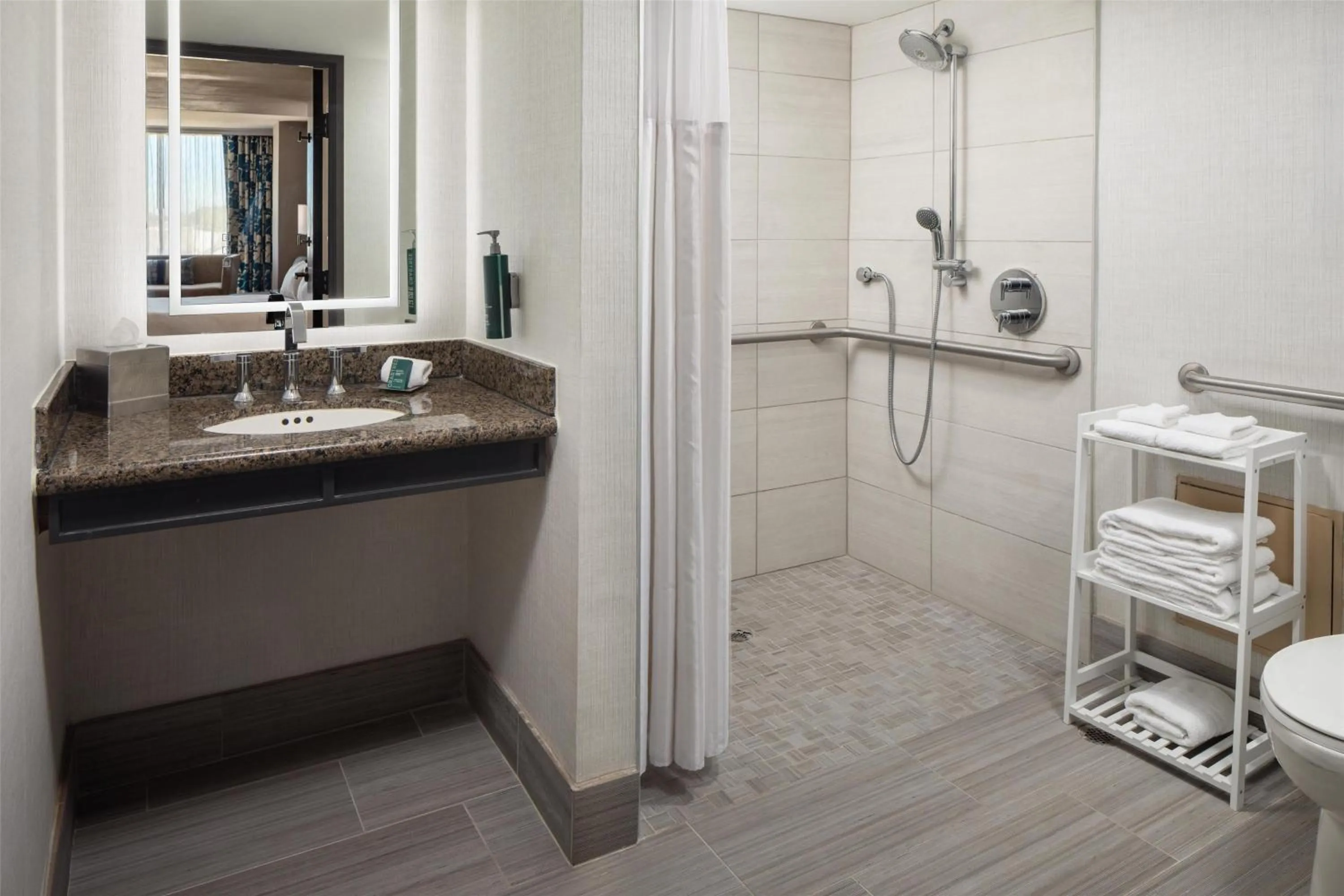 Bathroom in Hilton Arlington