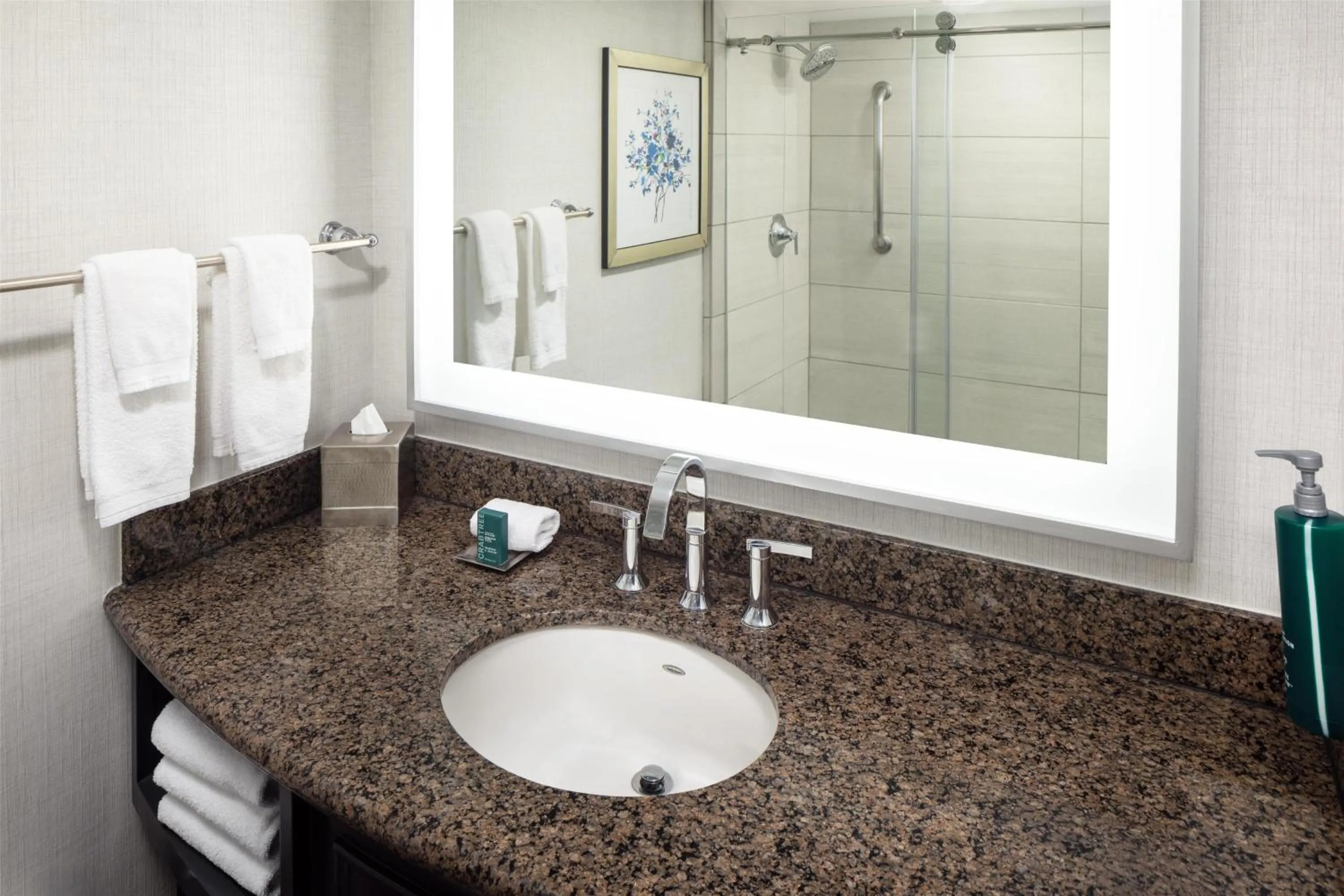 Bathroom in Hilton Arlington