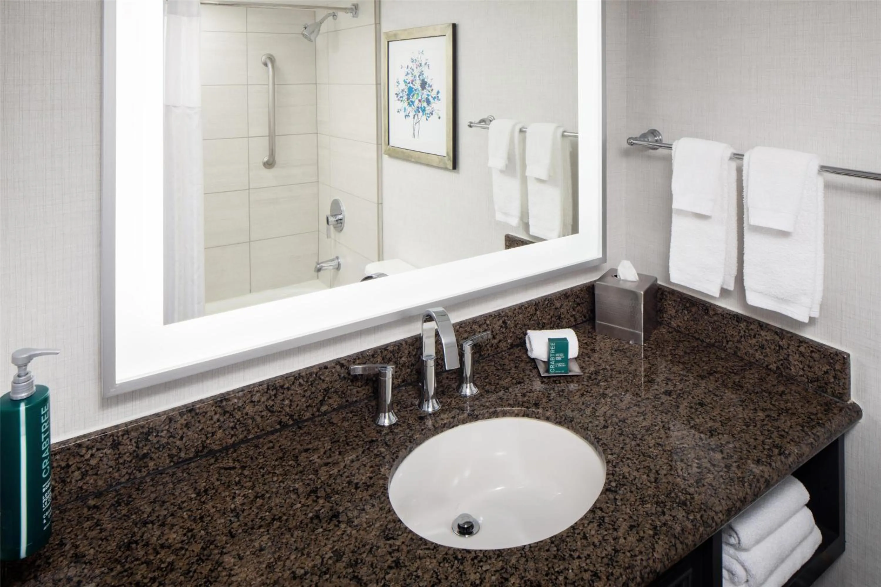 Bathroom in Hilton Arlington