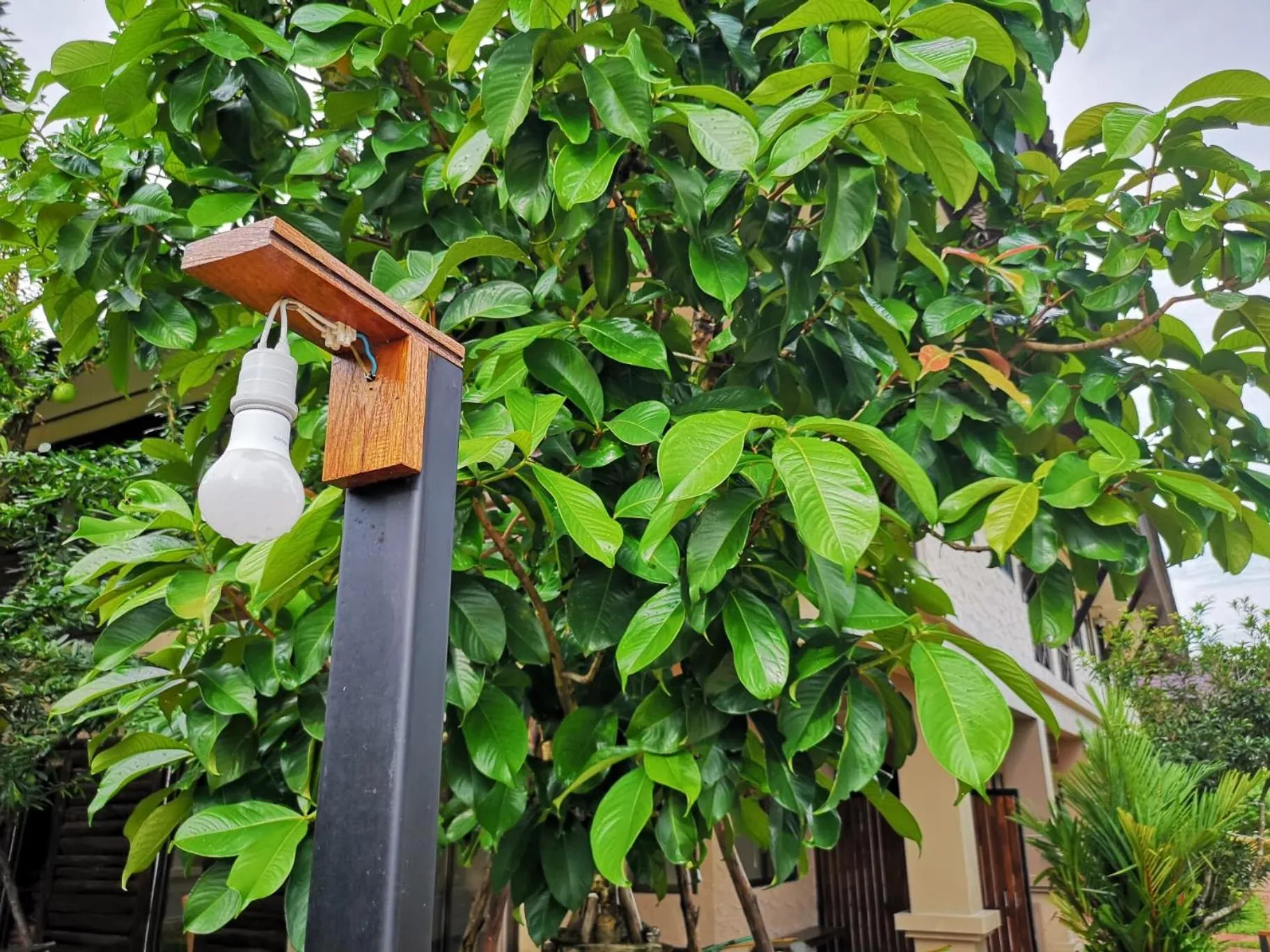 Property building in Sophia Resort