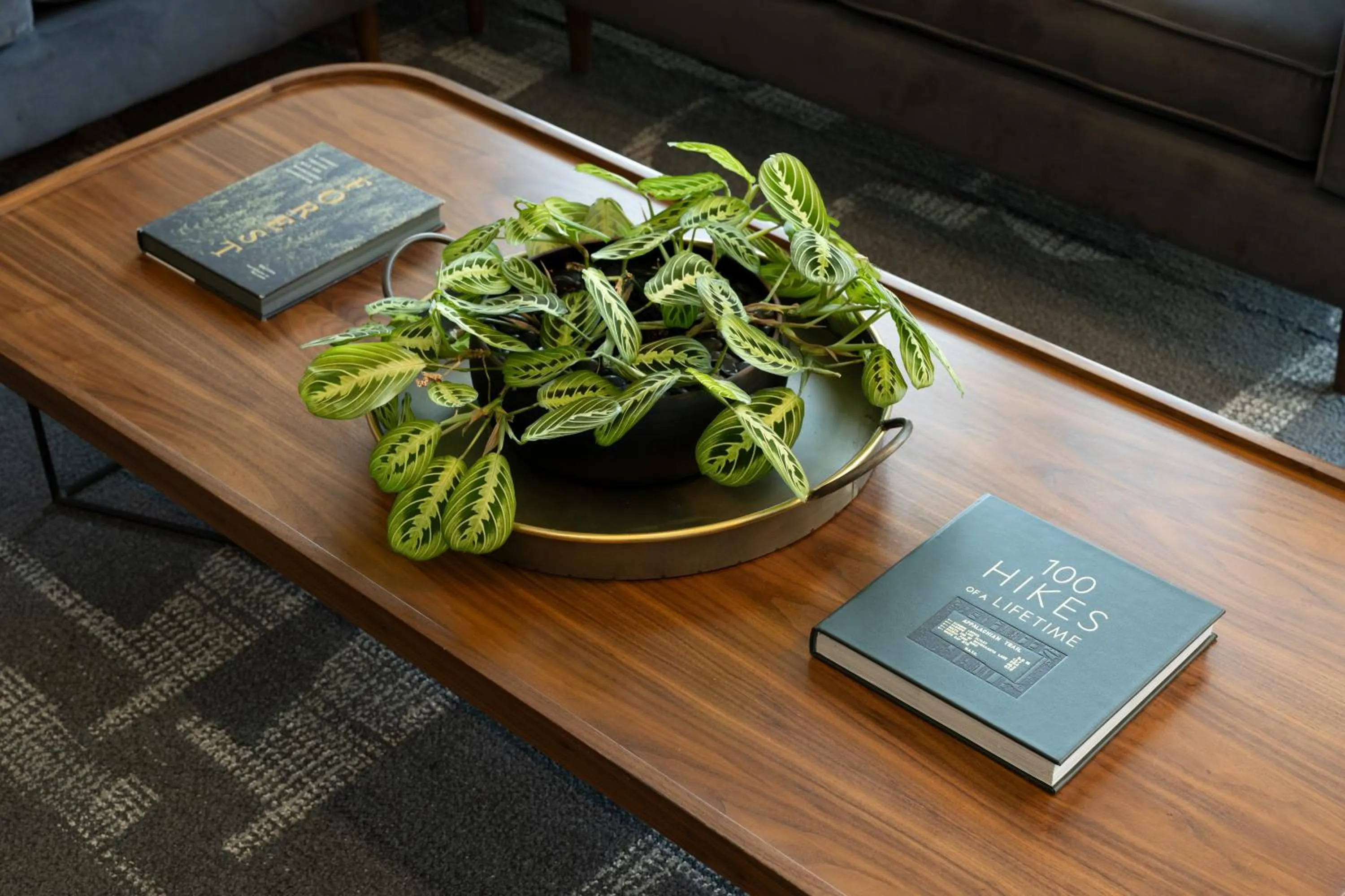 Communal lounge/ TV room in Hotel Vance, Portland, a Tribute Portfolio Hotel