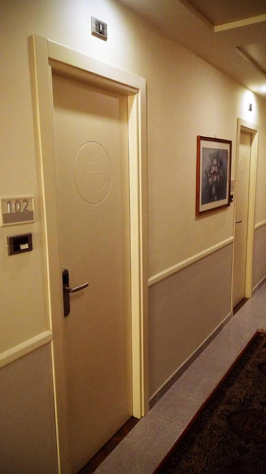 Area and facilities in Hotel Sabbie d'Oro