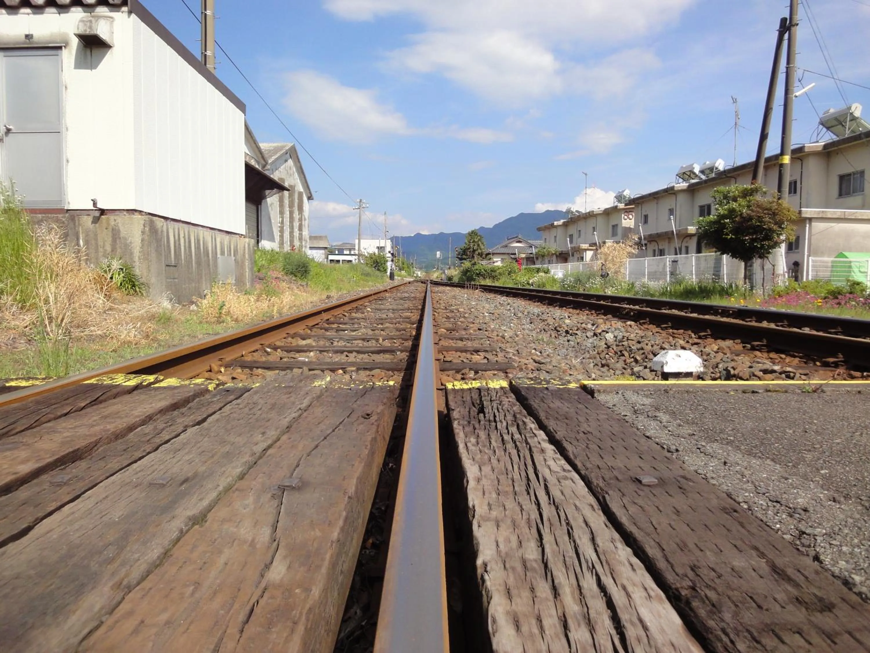 Neighbourhood in Shikino Mori