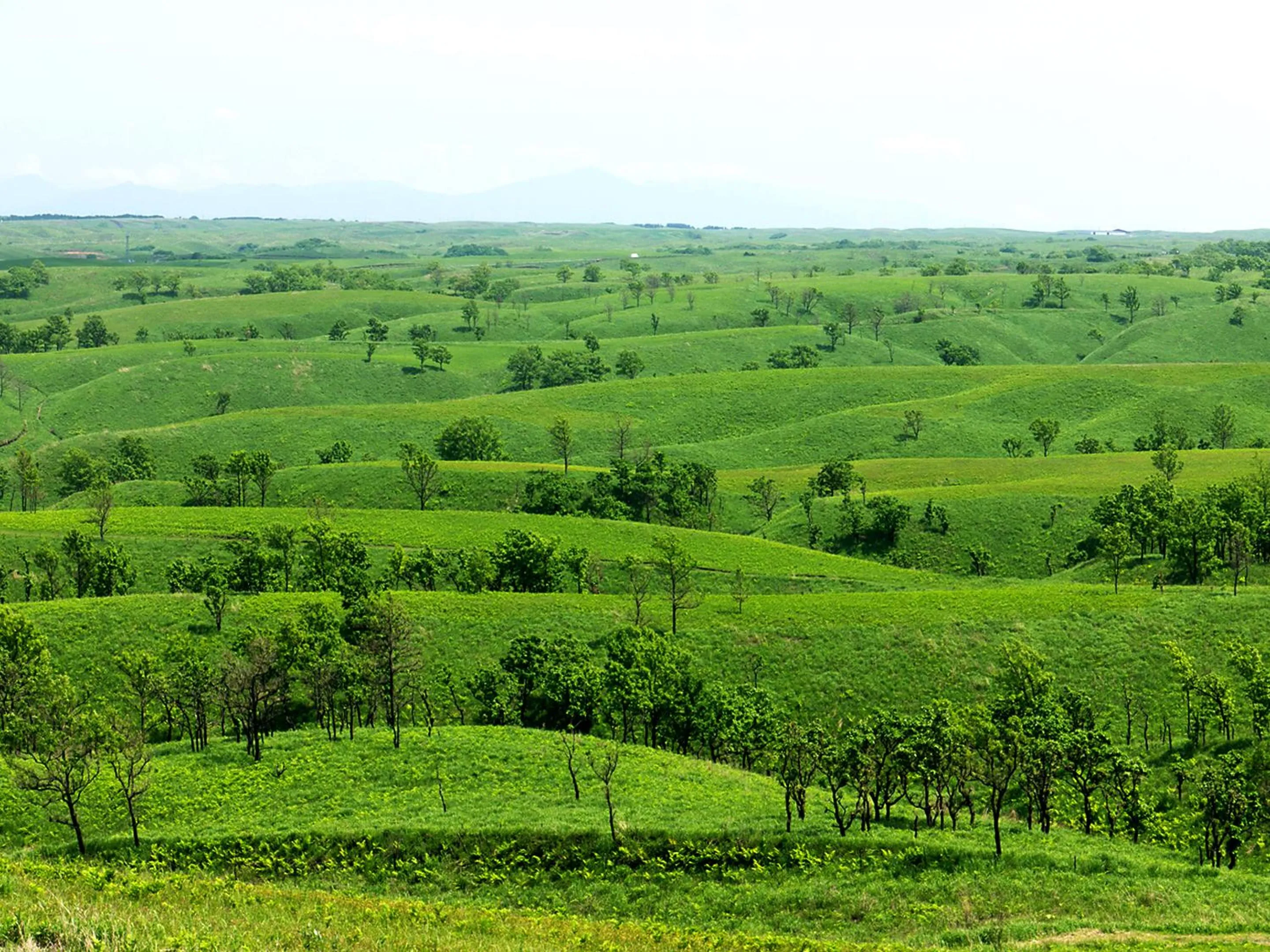 Nearby landmark in Shikino Mori