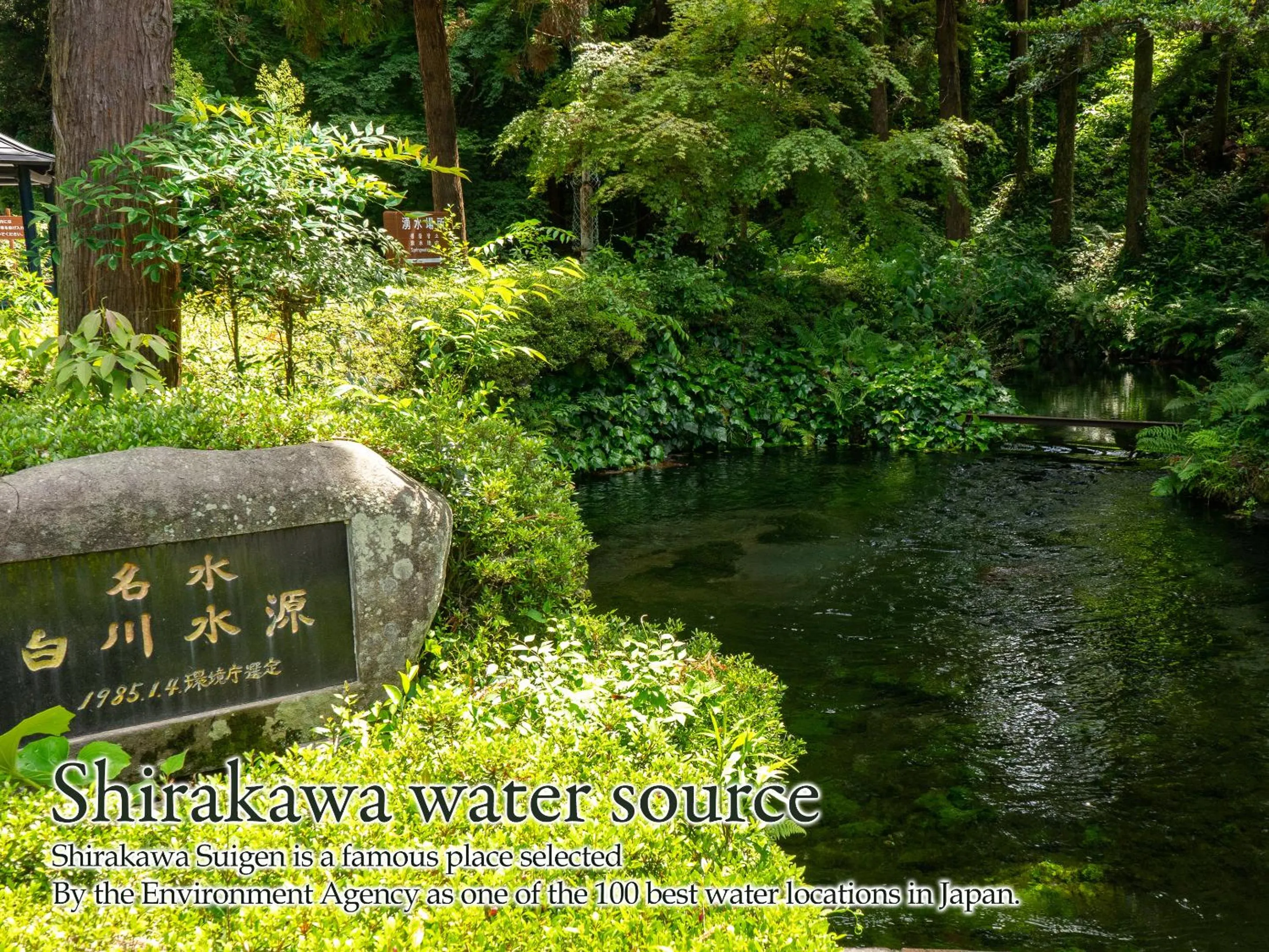 Nearby landmark in Shikino Mori