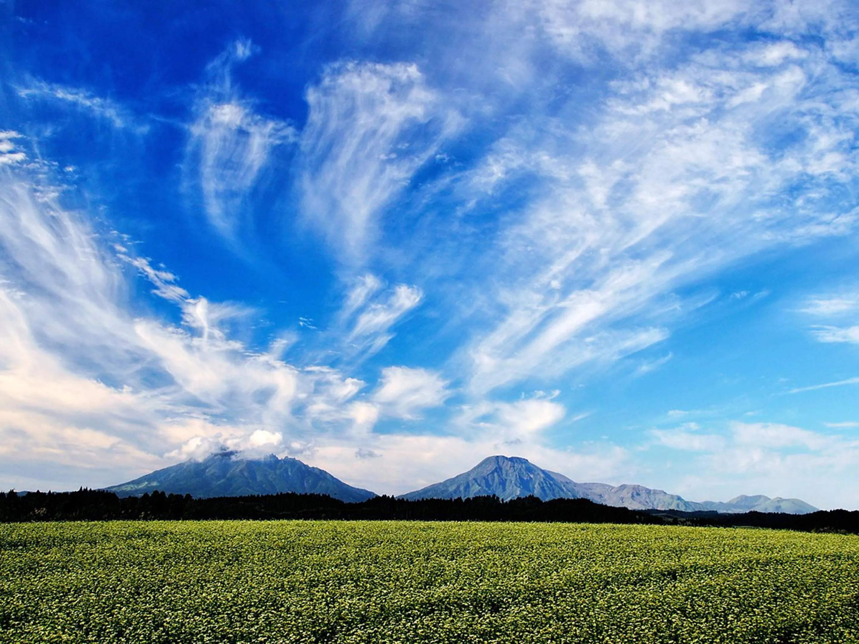 Off site in Shikino Mori