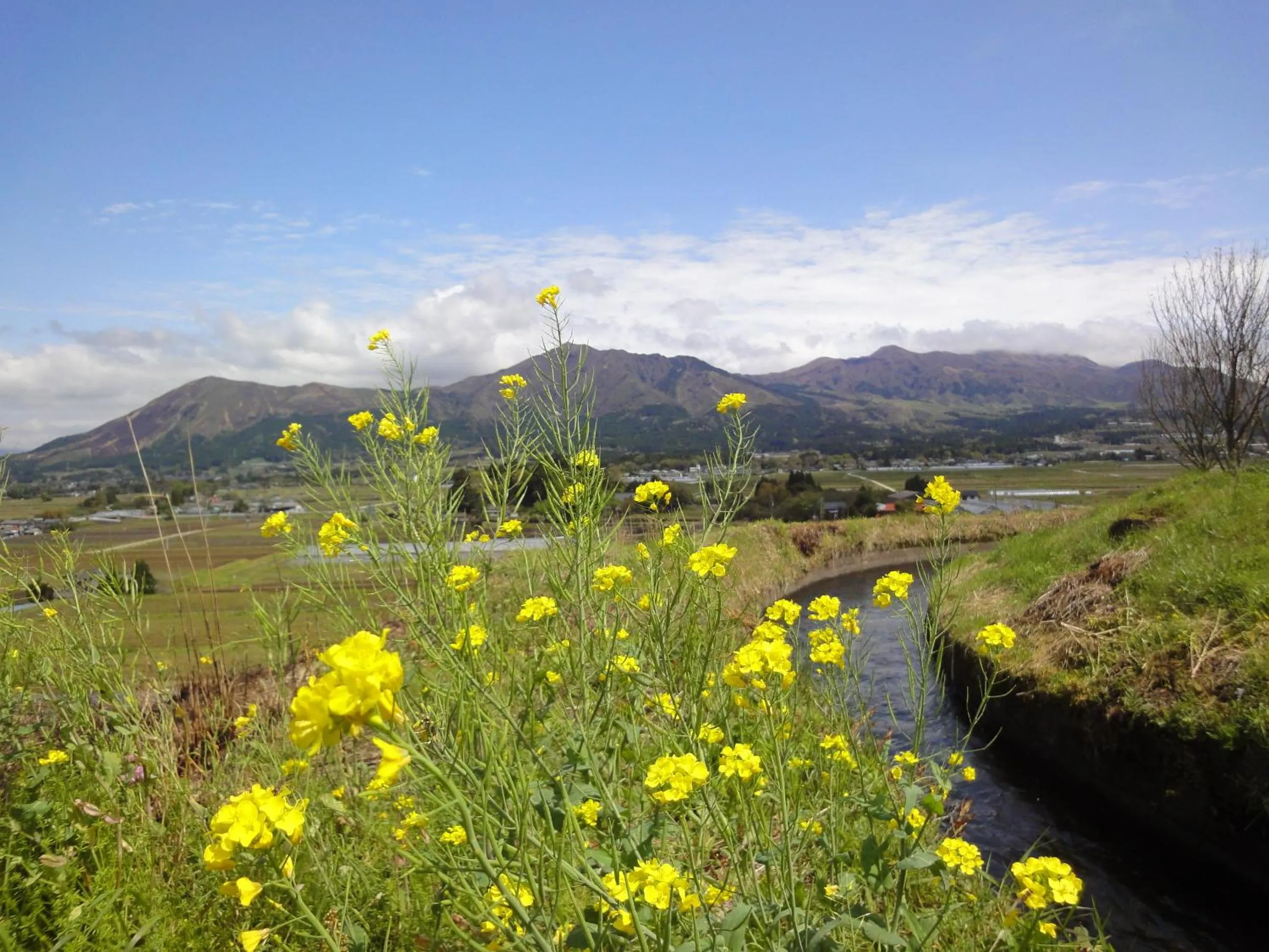 View (from property/room) in Shikino Mori