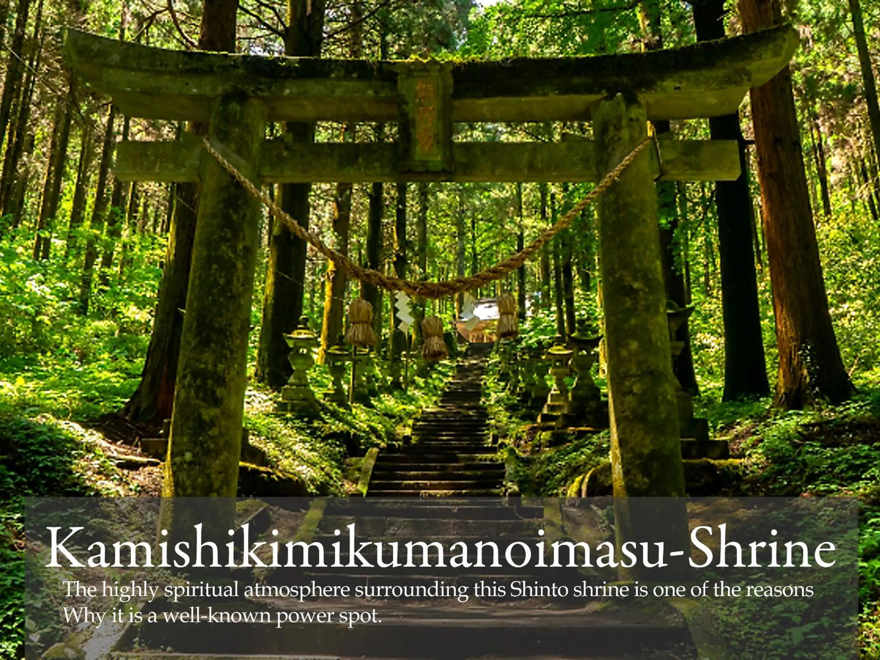 Nearby landmark in Shikino Mori