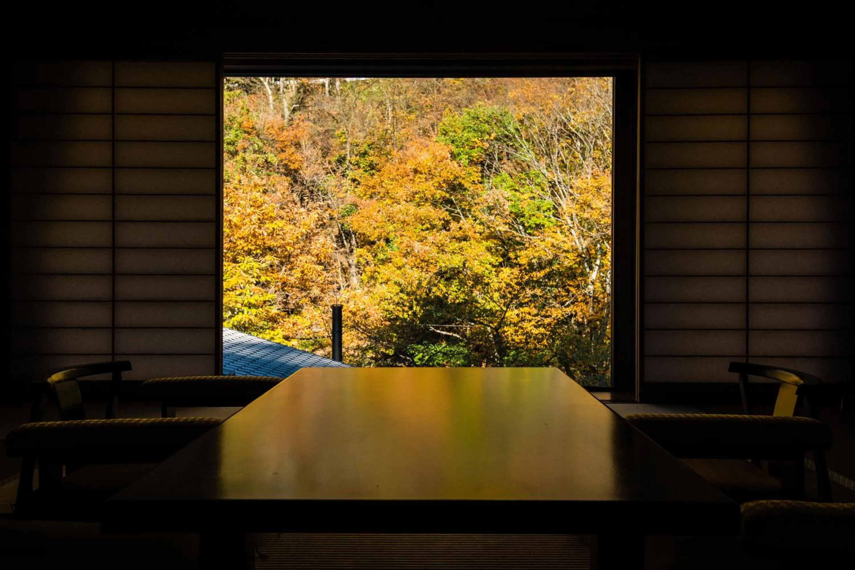 Hot Spring Bath in Myojinkan