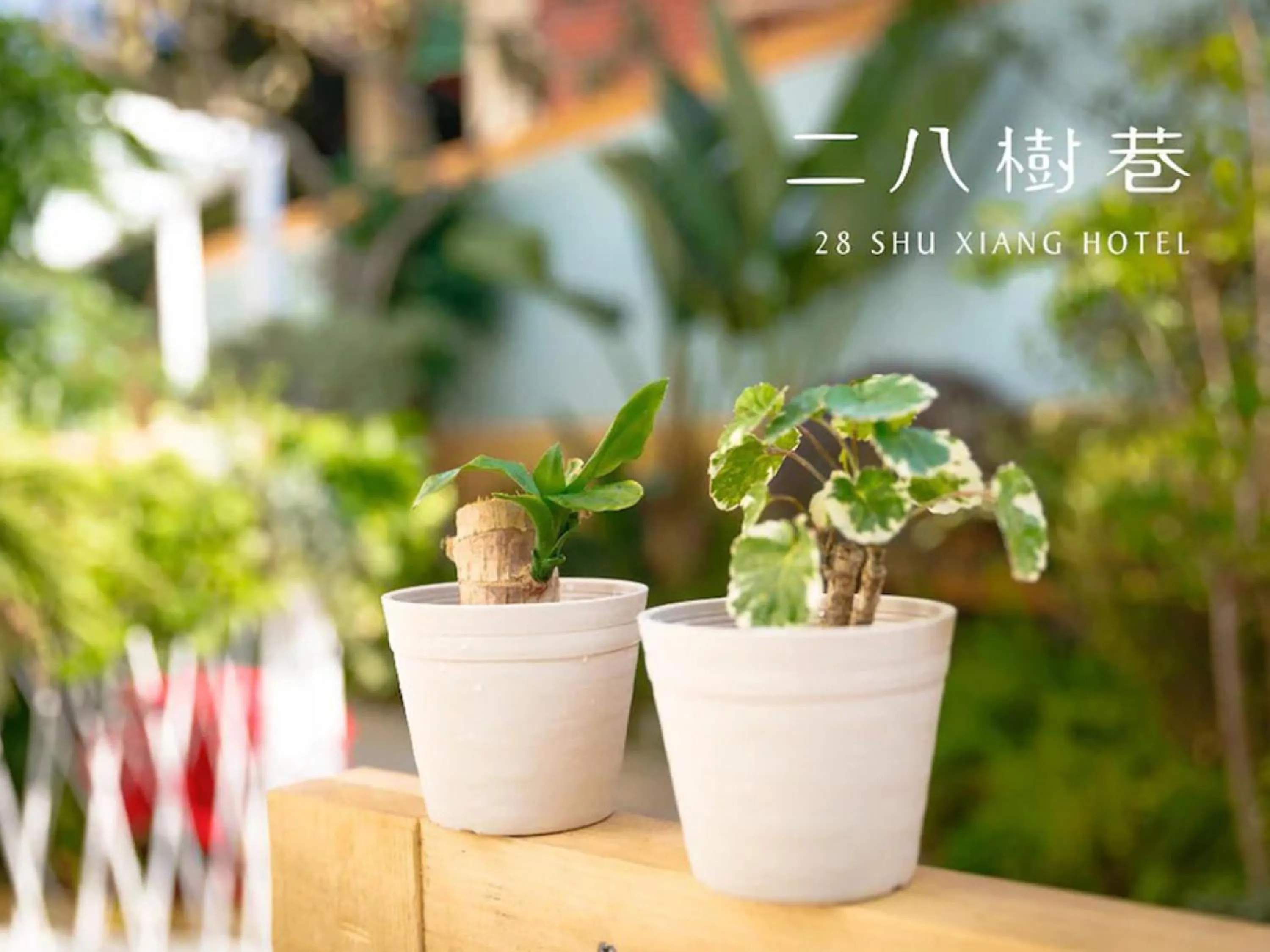 Property building in 28 Shu Xiang Hotel