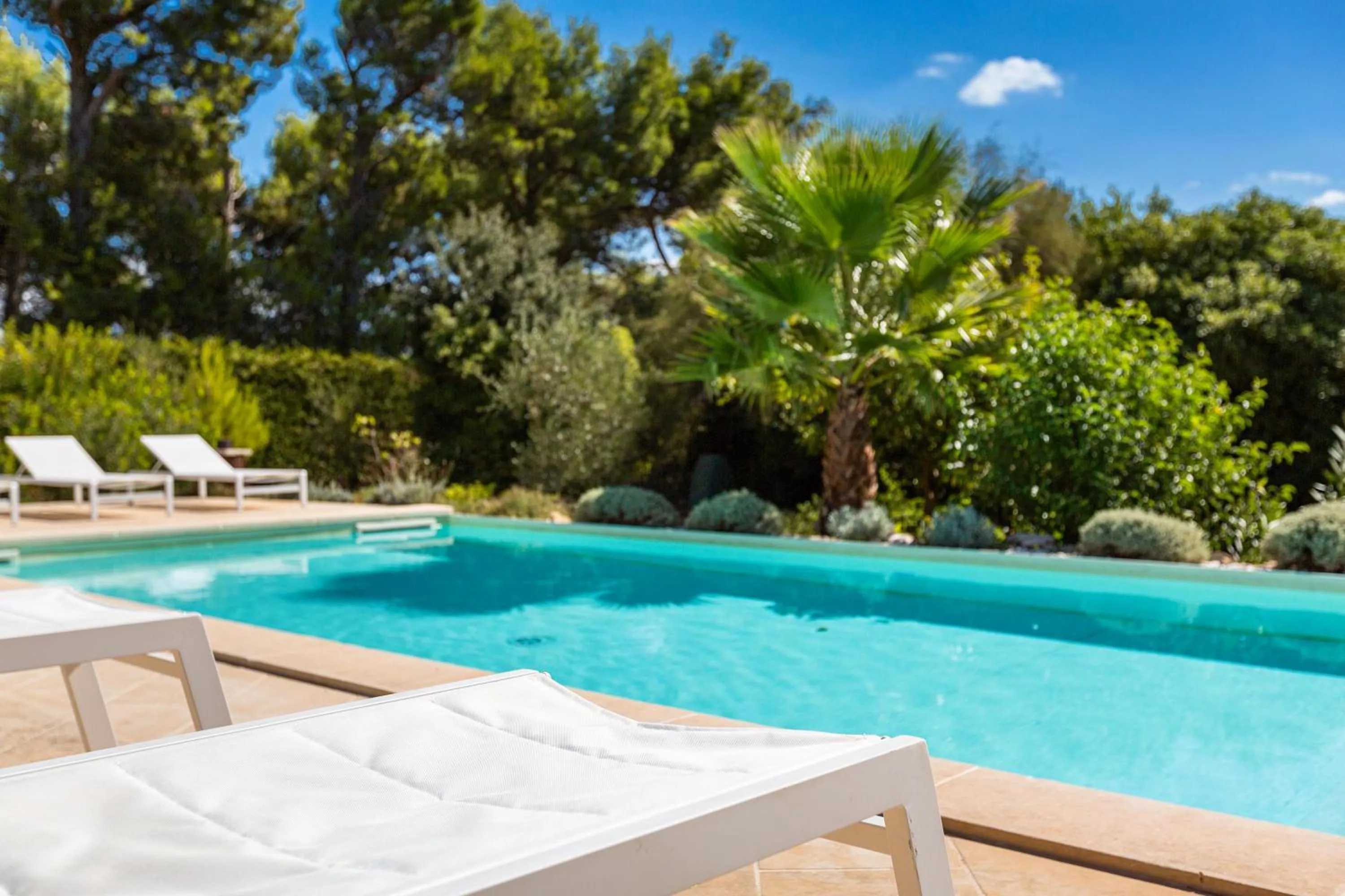 Swimming pool in Villa Chiara by Perle di Puglia