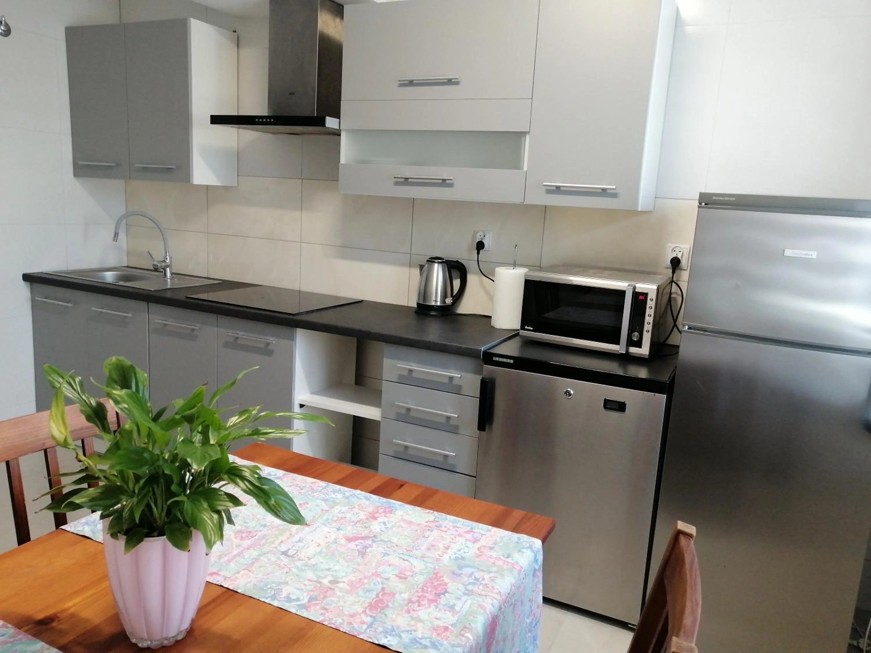 Kitchen or kitchenette in GOŚCINIEC NAD SAWĄ