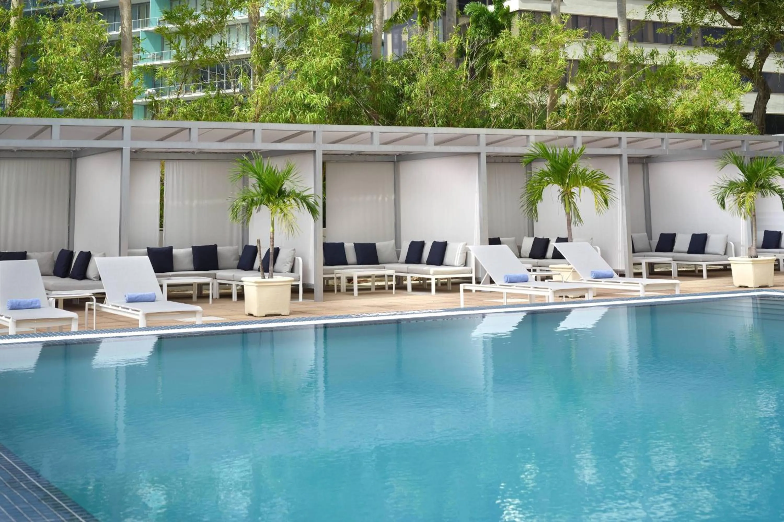 Swimming pool in Courtyard Miami Coconut Grove