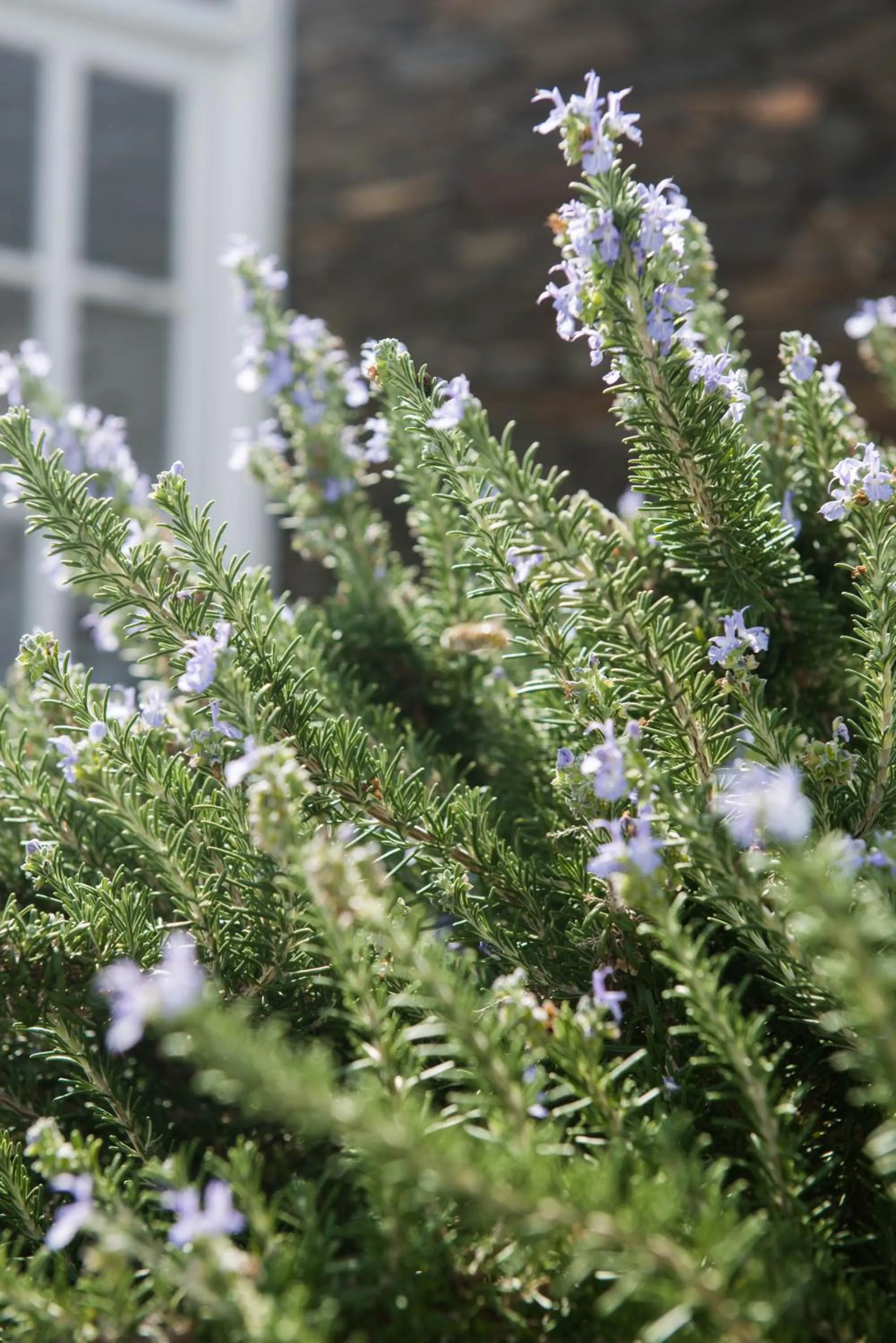 Other in Gerofinikas Boutique Hotel