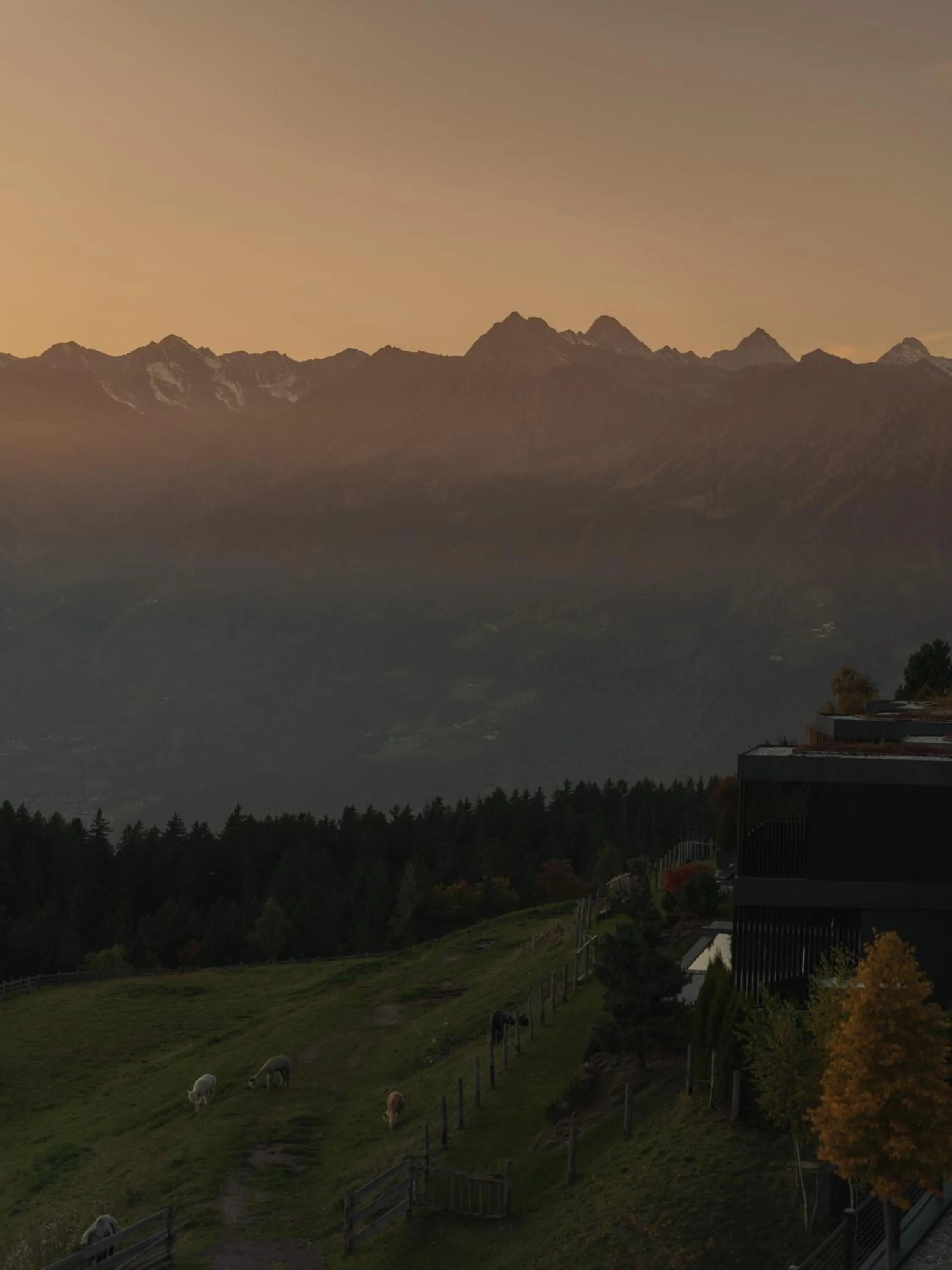 View (from property/room) in Chalet Mirabell