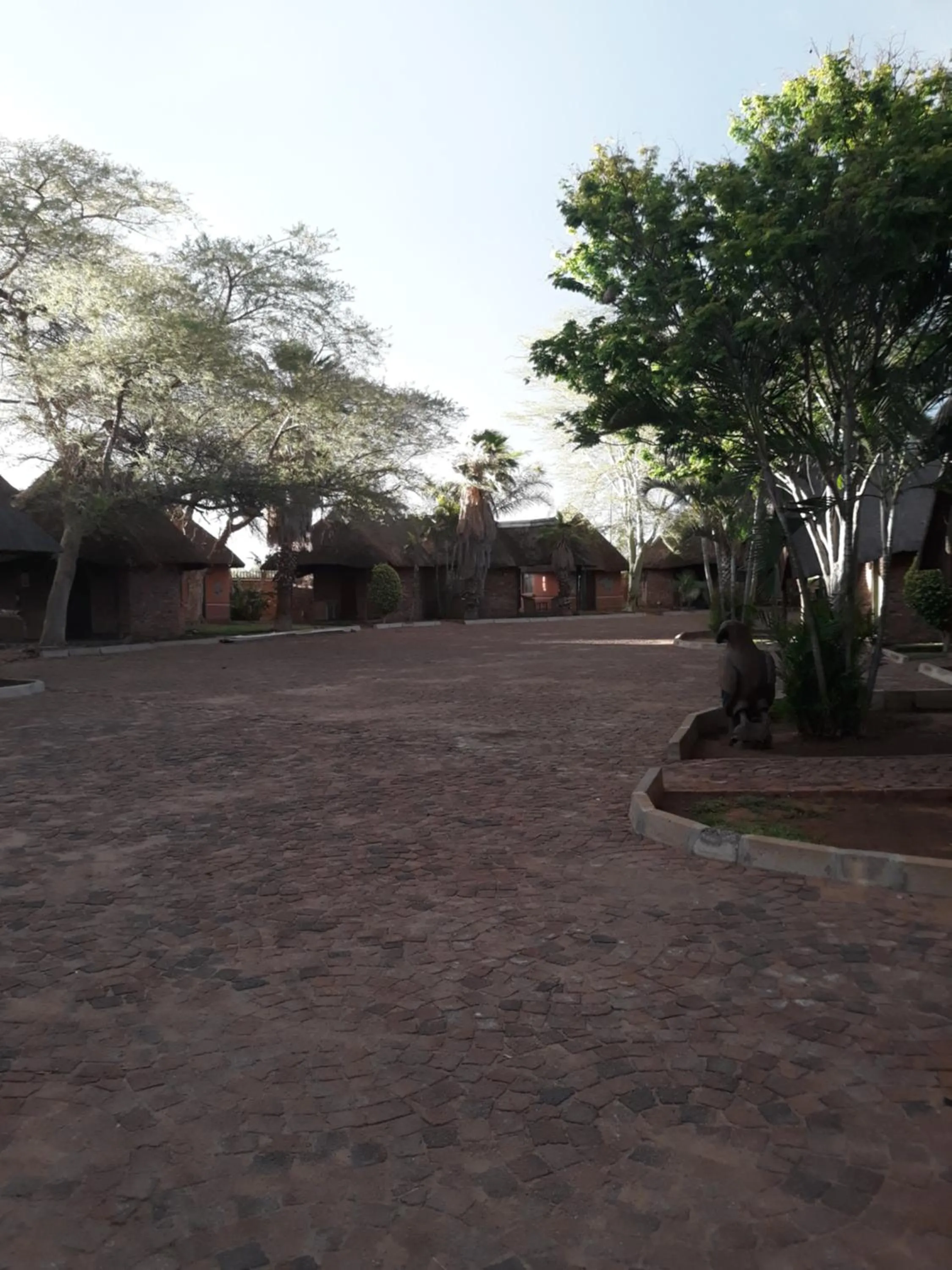 Garden in The Big Five Lodge