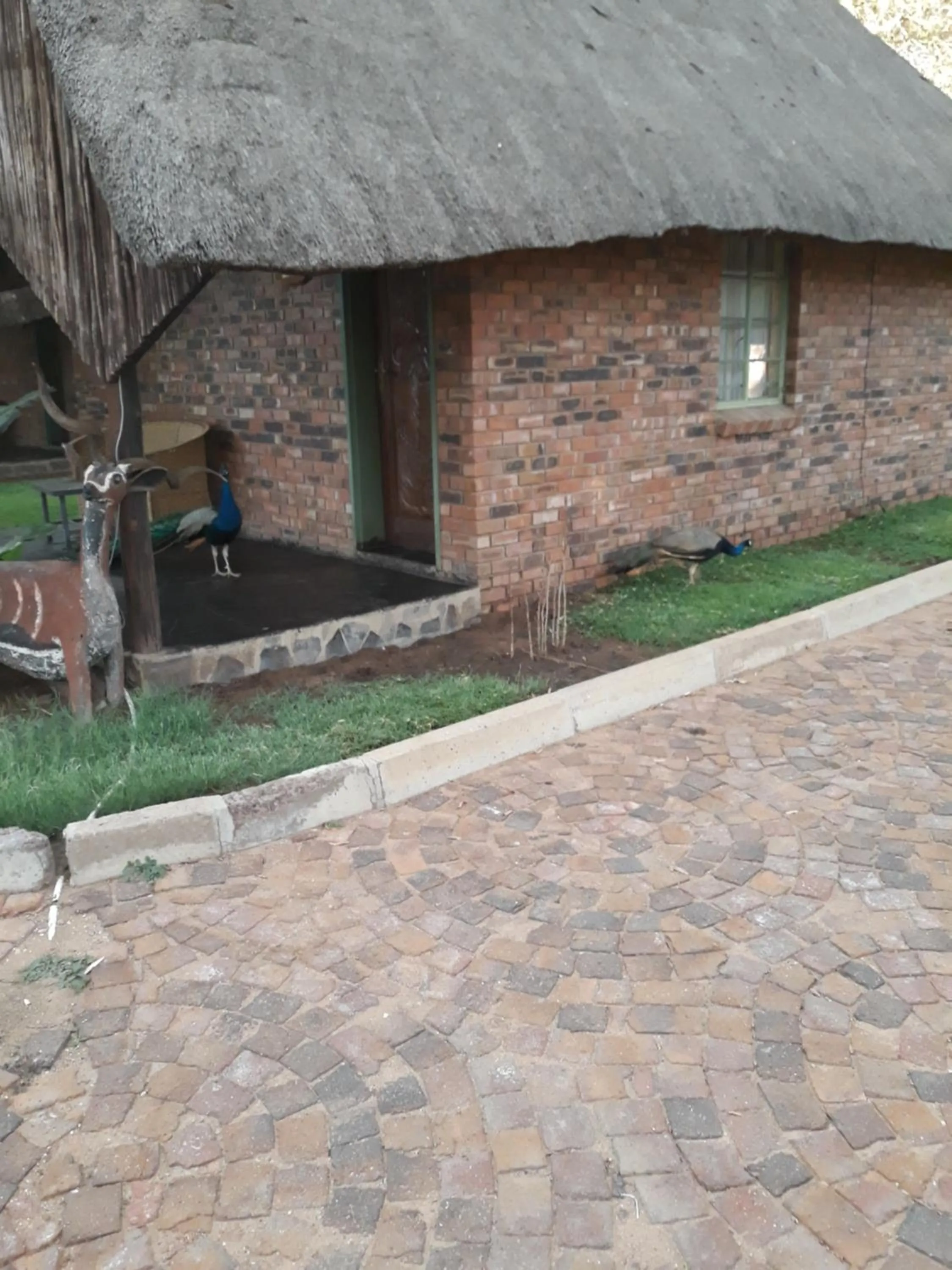 Garden in The Big Five Lodge