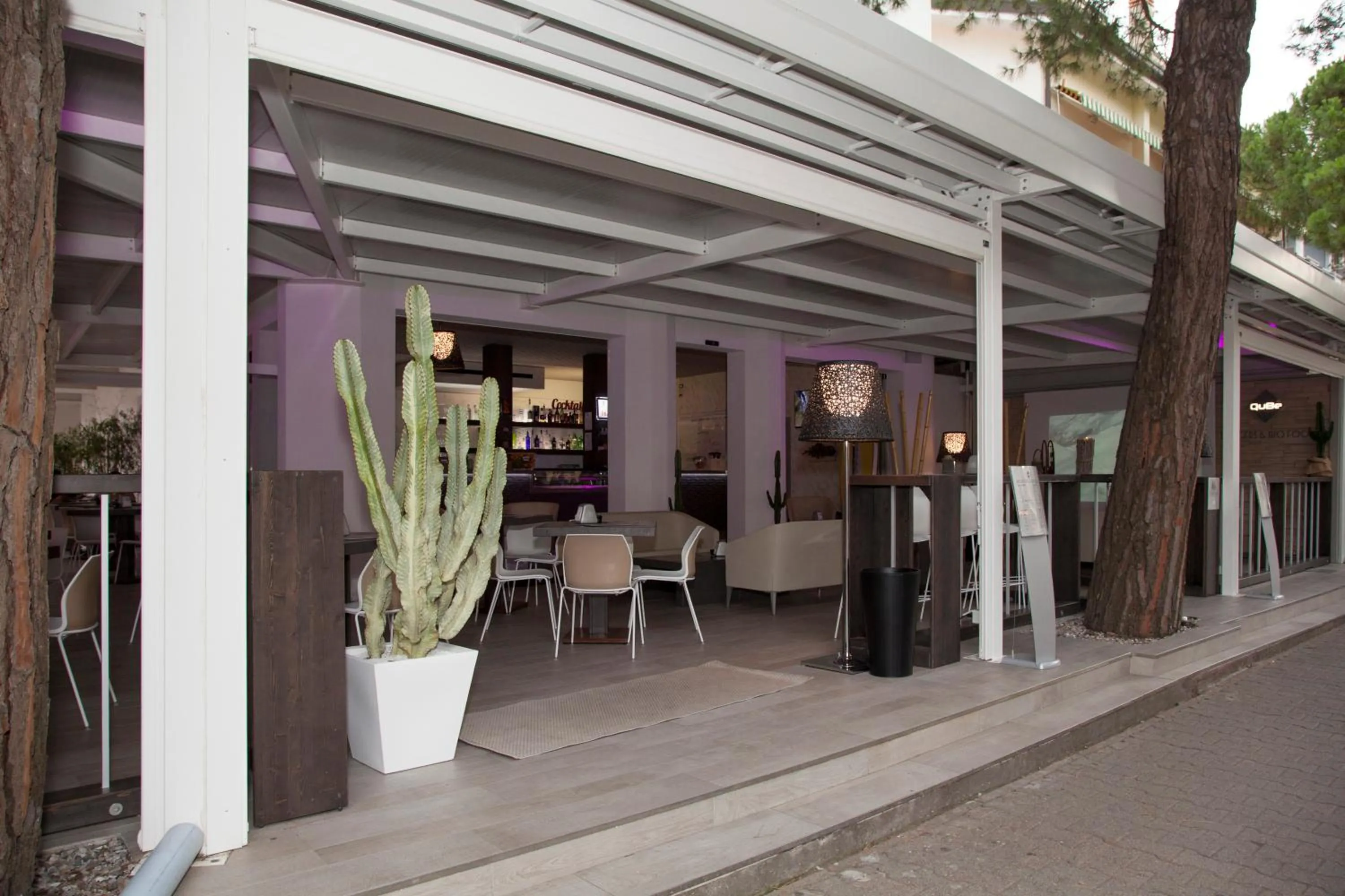 Restaurant/places to eat in Hotel Helvetia