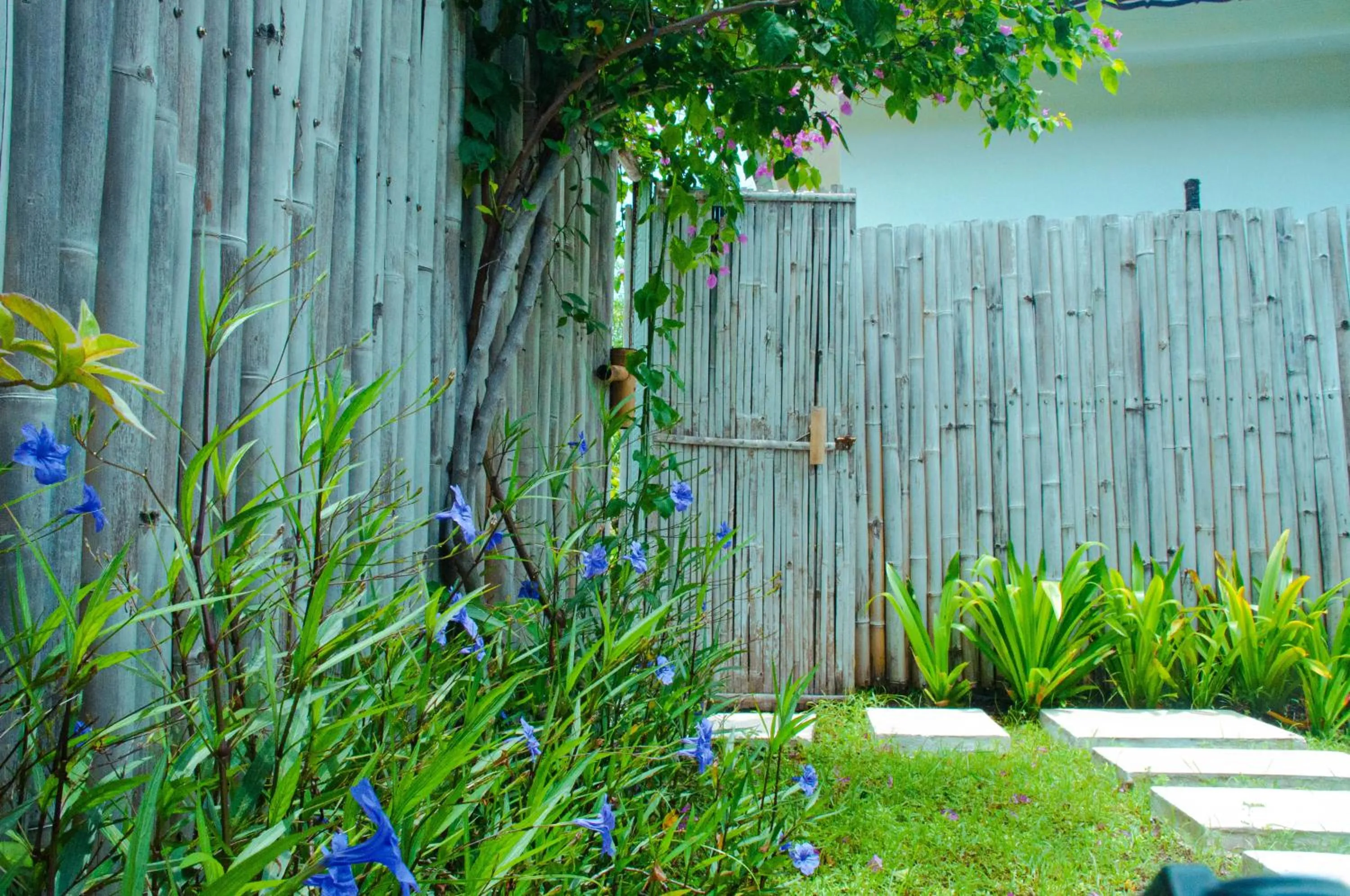 Garden in Villa Samalas Resort and Restaurant