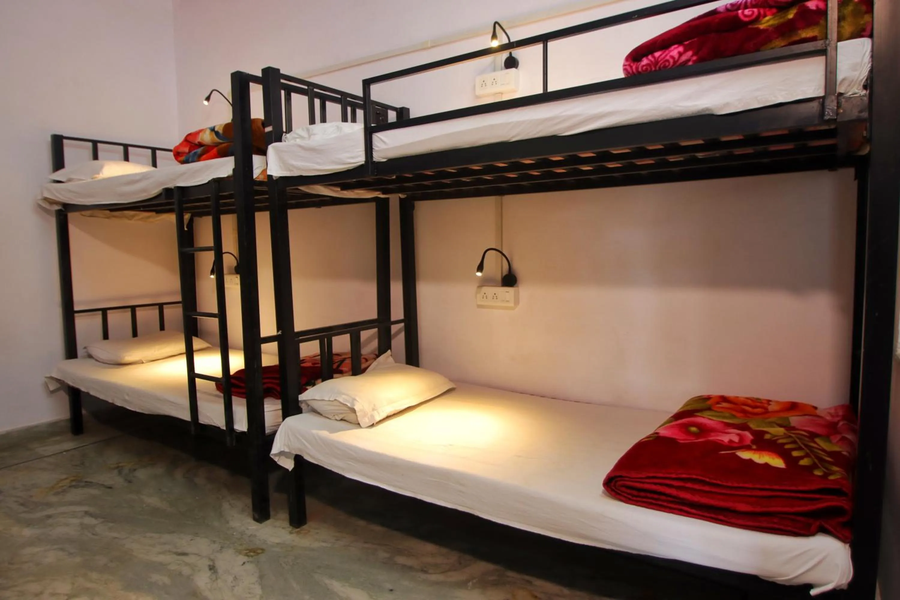 bunk bed, Bed in Trip In Hostel, Udaipur