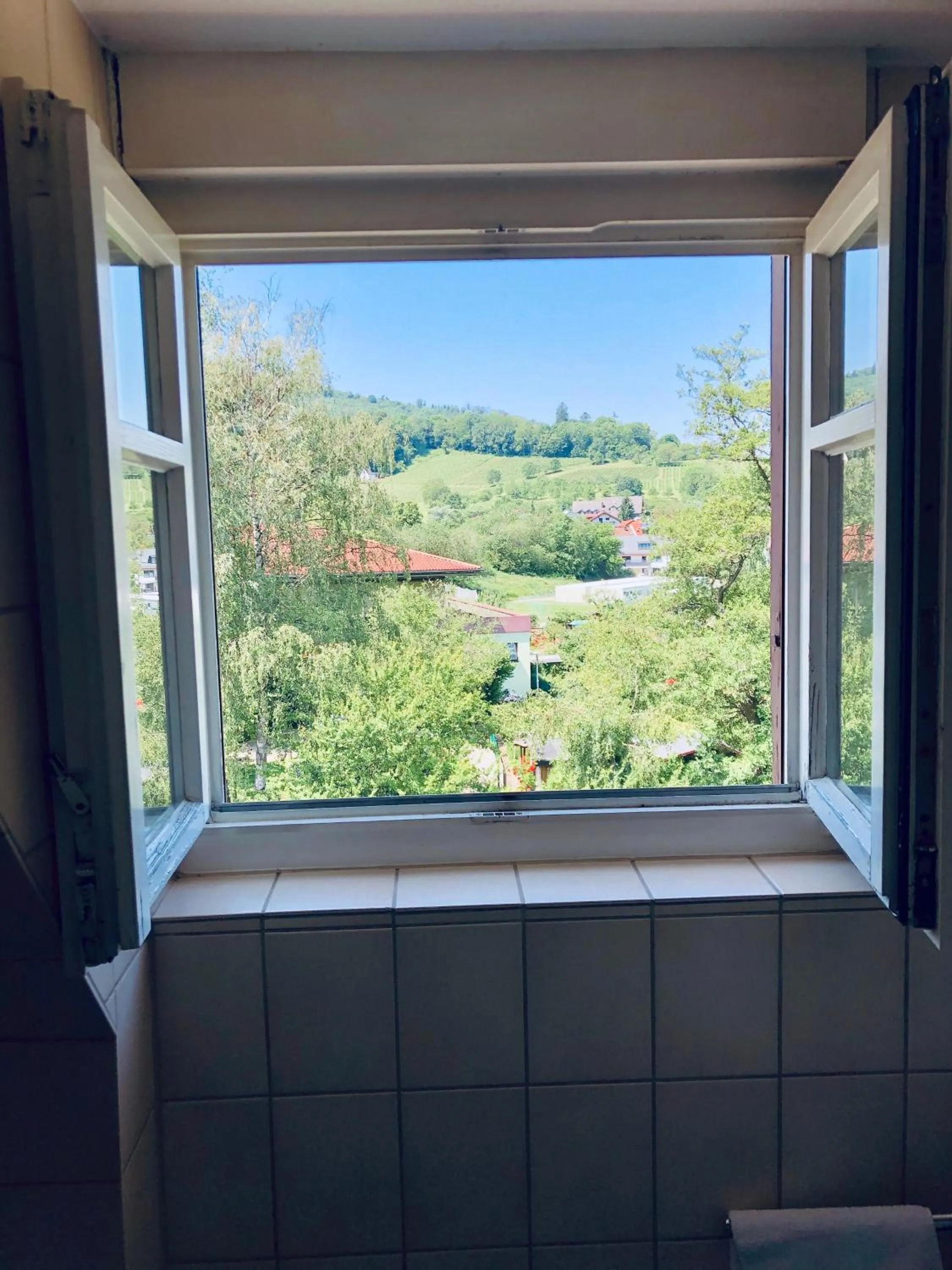 Mountain view in Hotel & Restaurant Grüner Baum Merzhausen