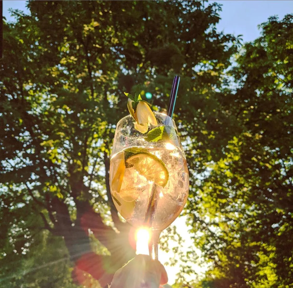 Drinks in Hotel & Restaurant Grüner Baum Merzhausen