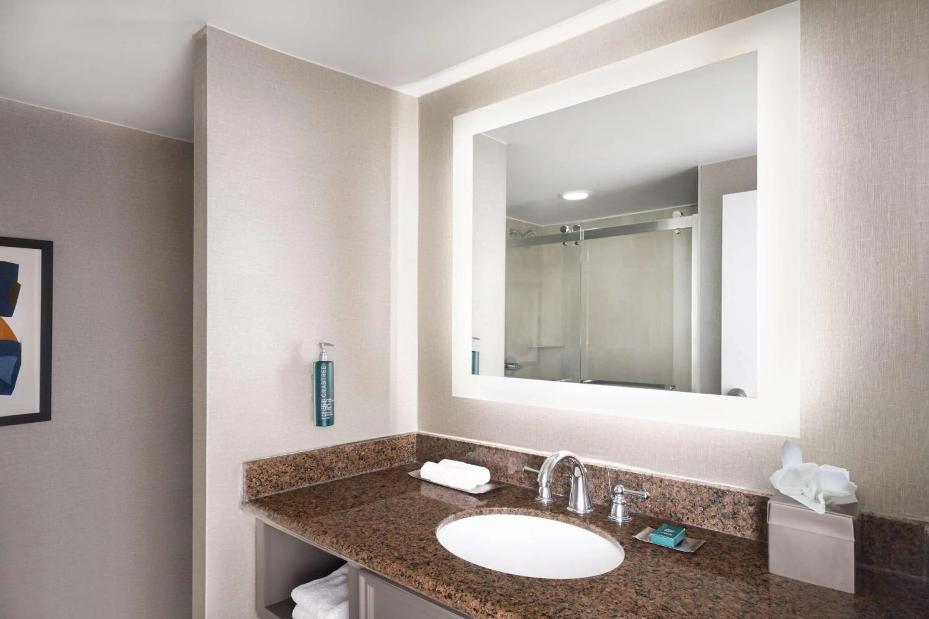 Bathroom in DoubleTree by Hilton Austin