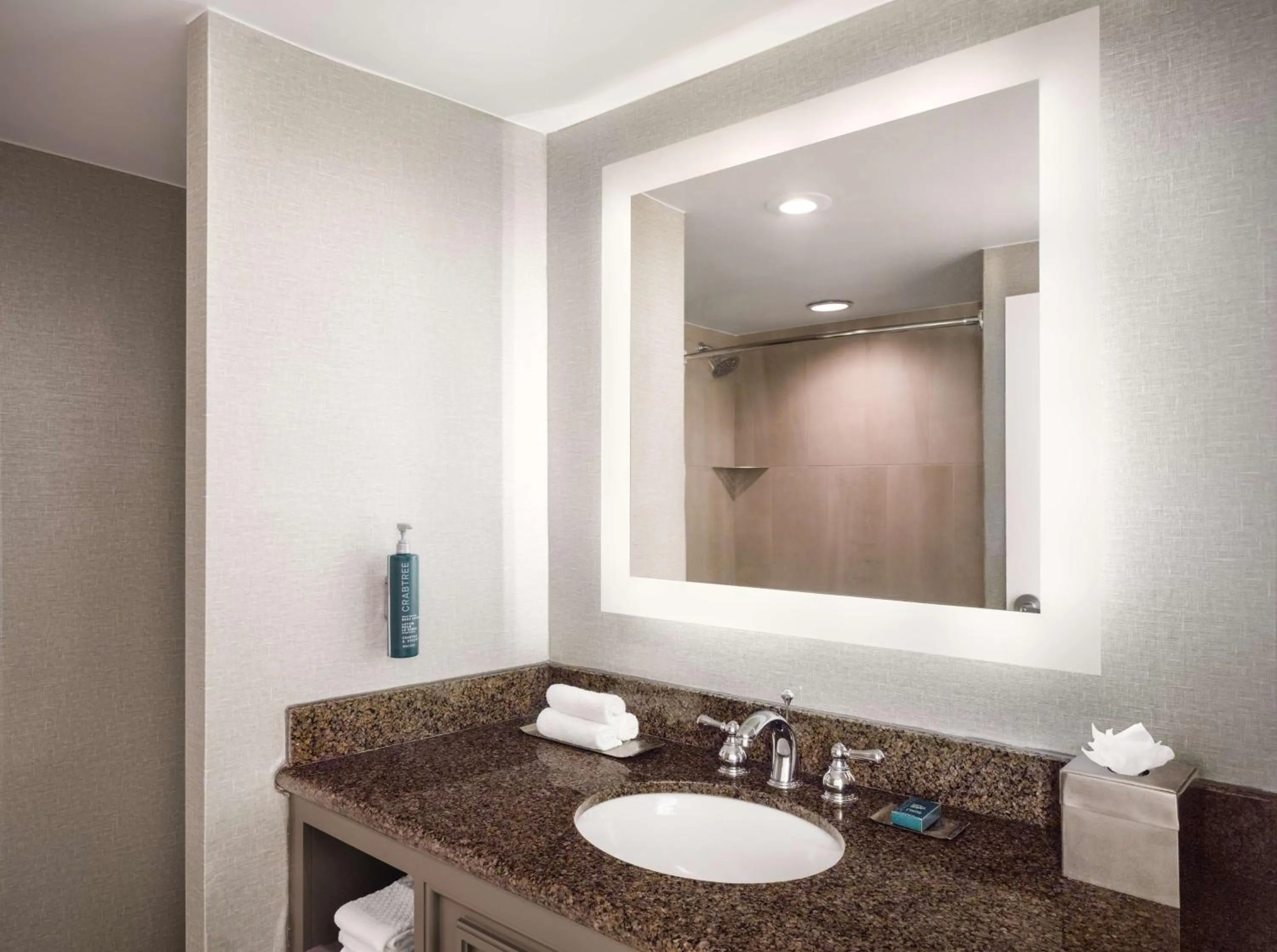 Bathroom in DoubleTree by Hilton Austin