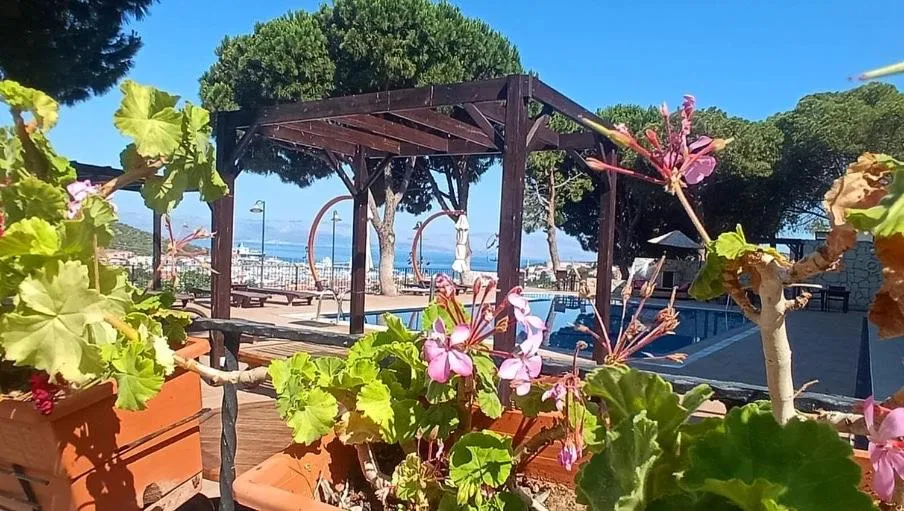 Swimming pool in My Solmaz Hotel