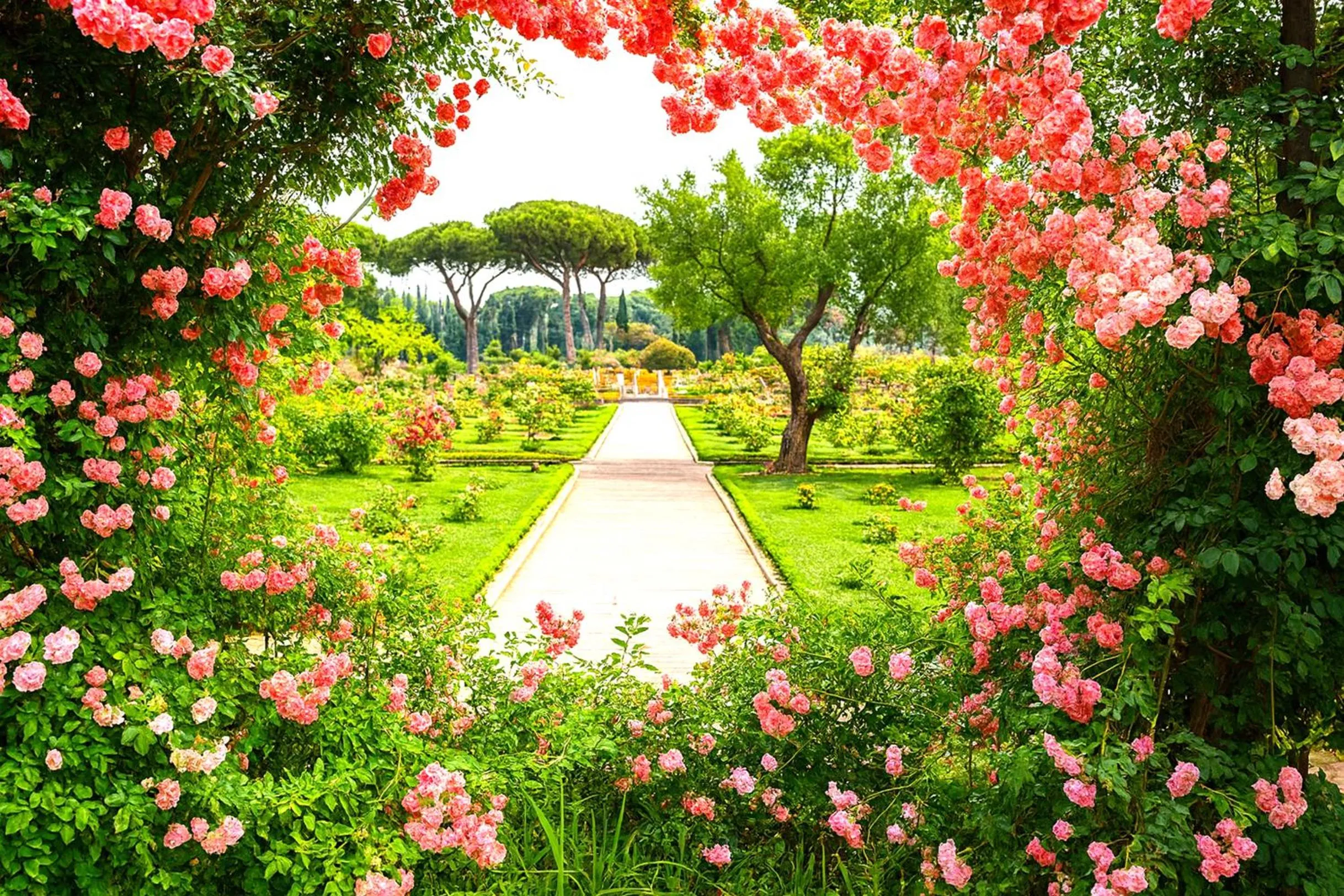 Nearby landmark in Interno 1 Ciampino Roma Luxury Apartment con balcone