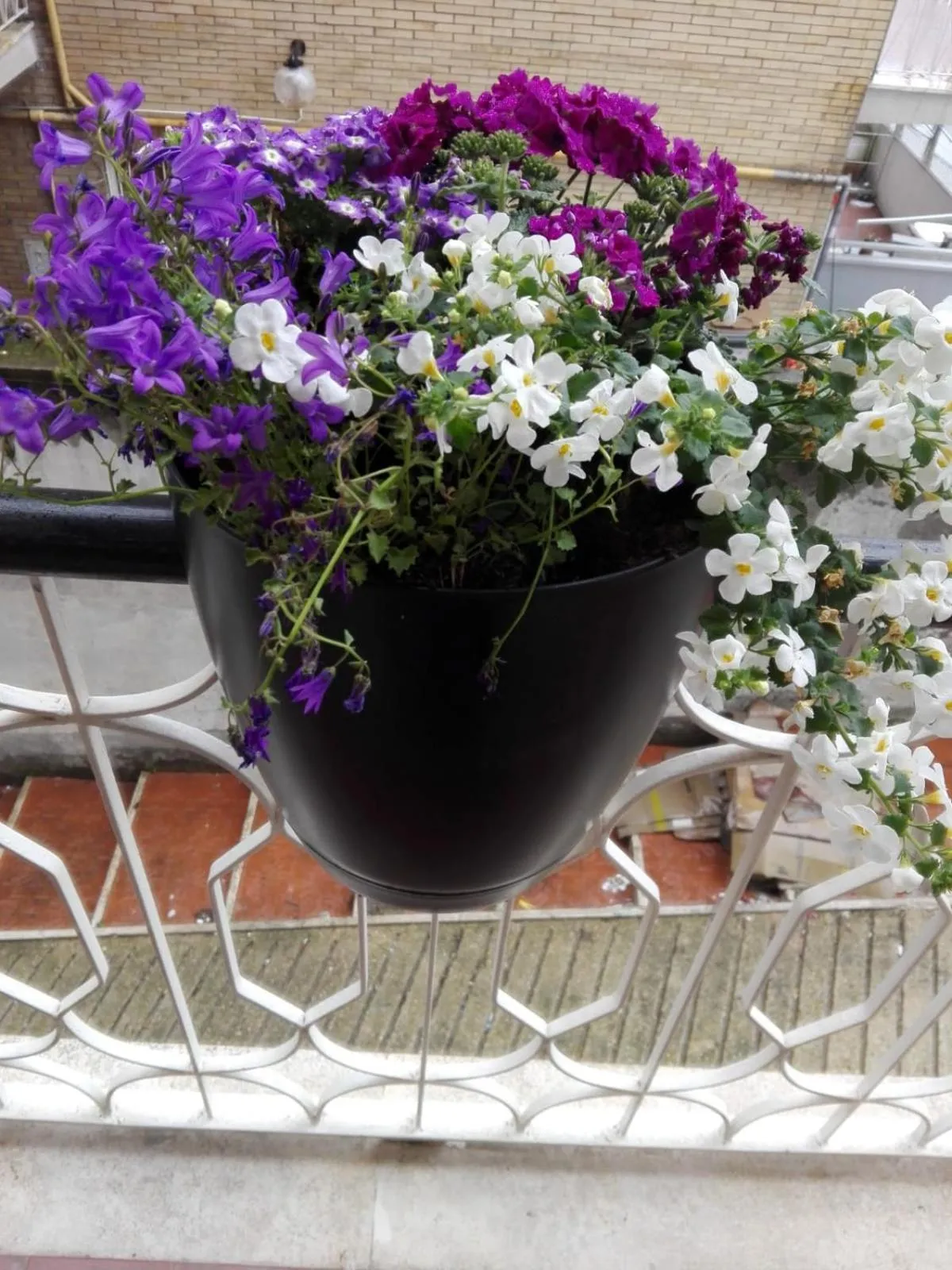 Property building in Interno 1 Ciampino Roma Luxury Apartment con balcone